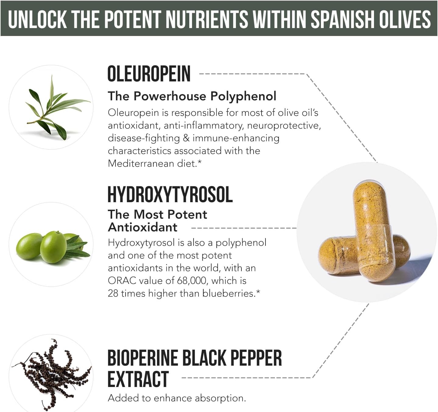 Spanish Grown Total Olive® Extract with Oleuropein & Hydroxytyrosol - Full Spectrum Olive Leaf & Fruit Extract with BioPerine (60ct)