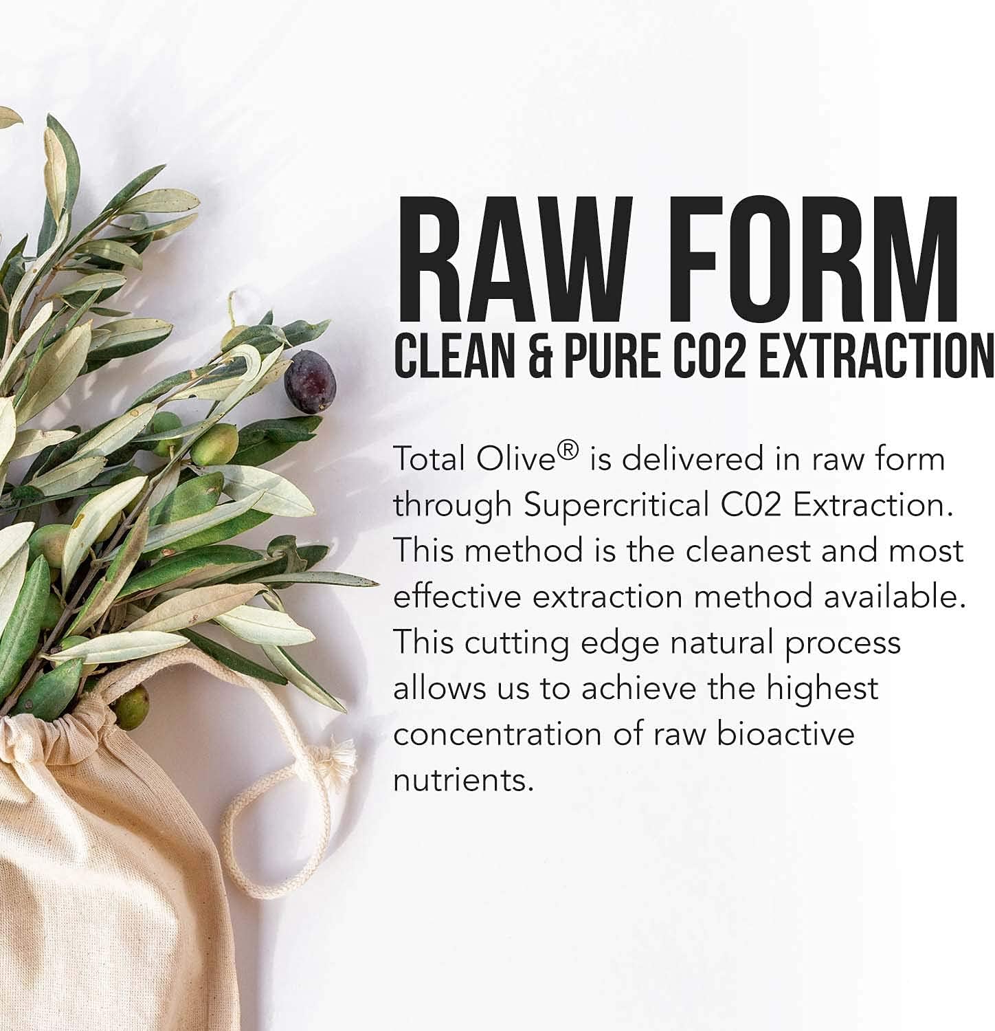 Spanish Grown Total Olive® Extract with Oleuropein & Hydroxytyrosol - Full Spectrum Olive Leaf & Fruit Extract with BioPerine (60ct)