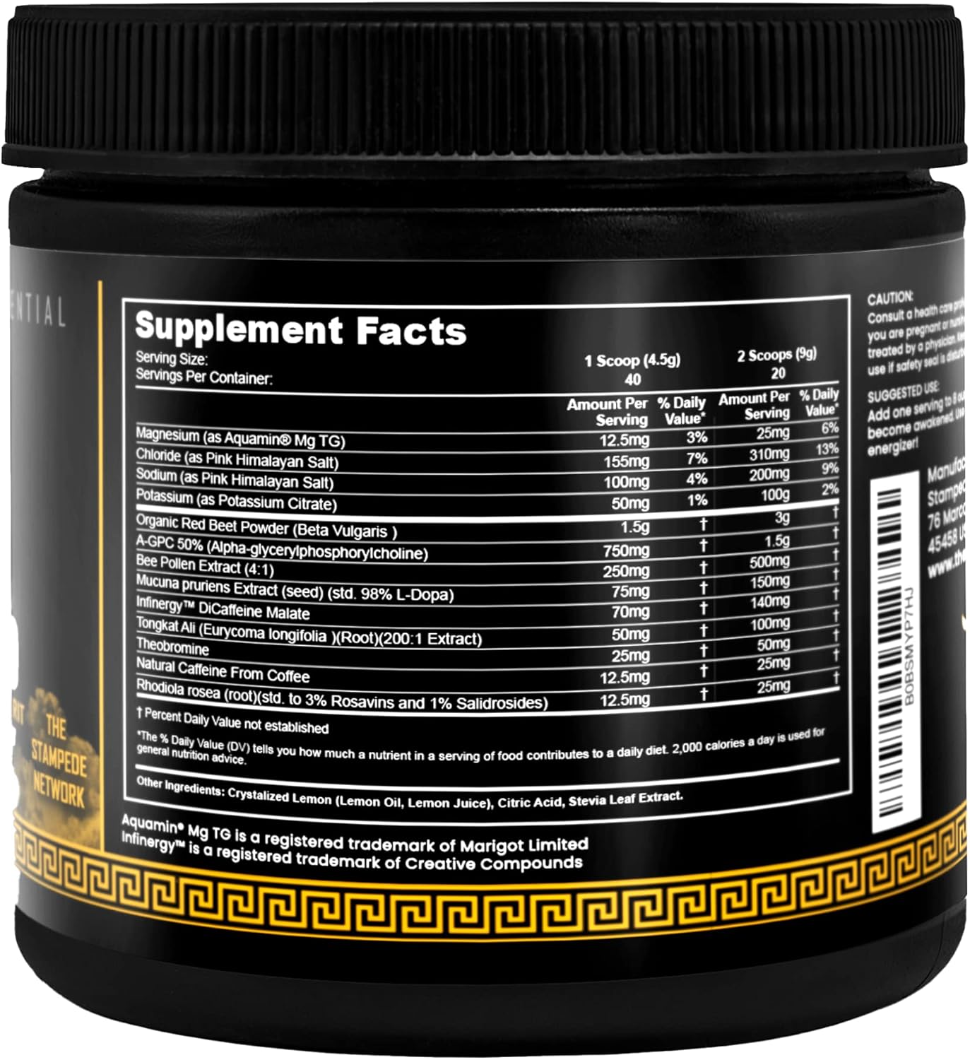 Spartan Bee Bread Brand Natural Pre Workout Powder with 12-in-1 Formula for Conscious Energy Boost - Bee Pollen + N.O. Booster - Mucuna Pruriens, Tongkat Ali, Rhodiola - 40 Servings