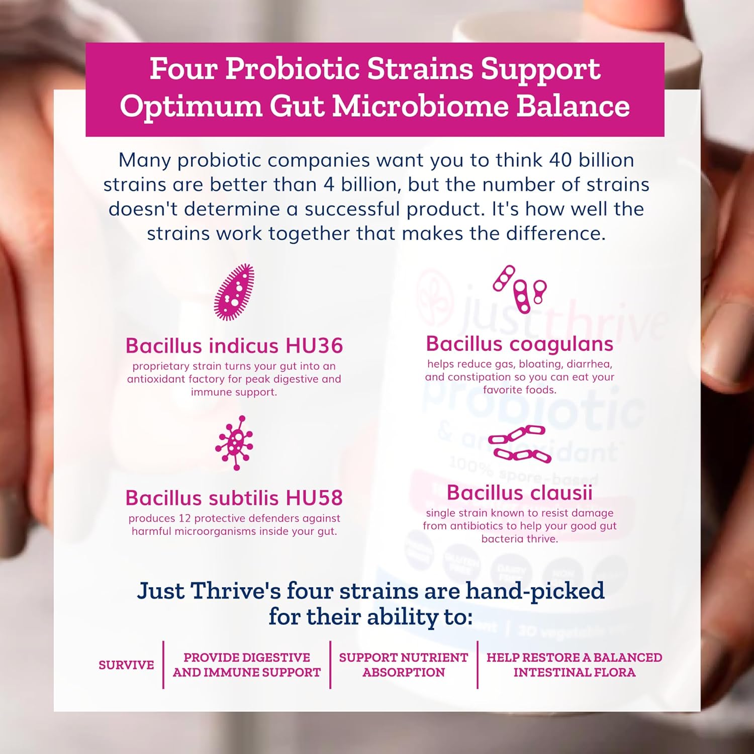 Spore-Based Probiotic & Antioxidant Supplement for Digestive & Immune Support - Gluten Free - 30 Capsules