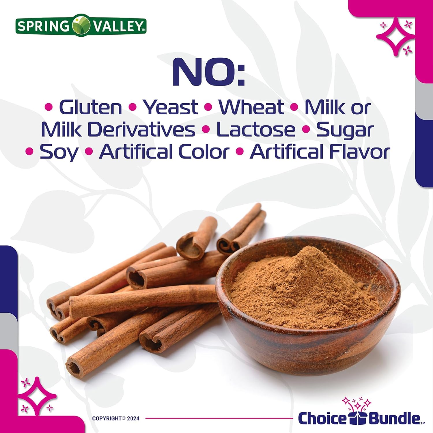 Spring Valley Cinnamon Dietary Supplement 1000mg 400 ct Vegetarian Capsules Bundle with "Vitamin Vitality" Guide & Pill Container (3 Items)