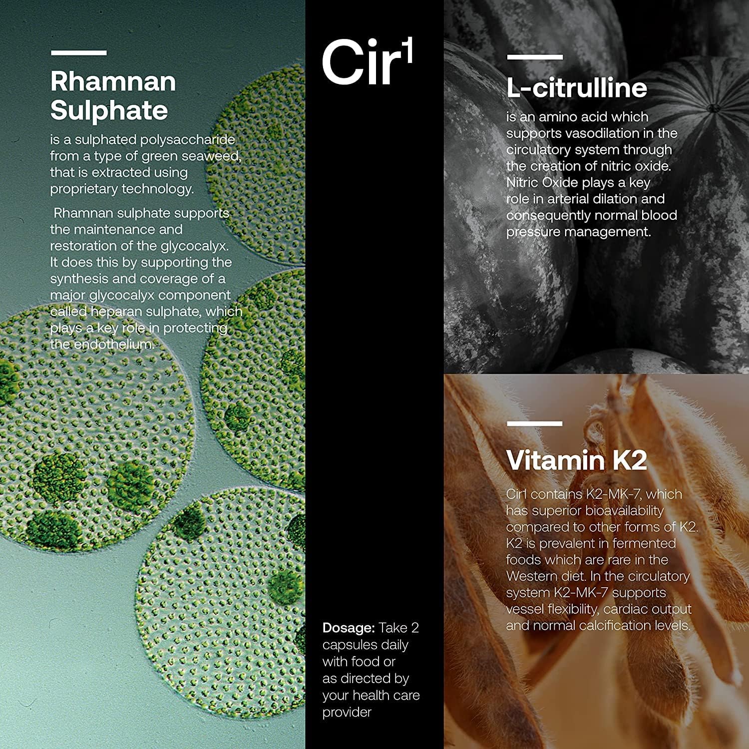 SRW Laboratories Cir¹ Flow Supplement - Promotes Healthy Blood Pressure & Nitric Oxide Levels, Enhances Blood Vessel Health - 60 Count