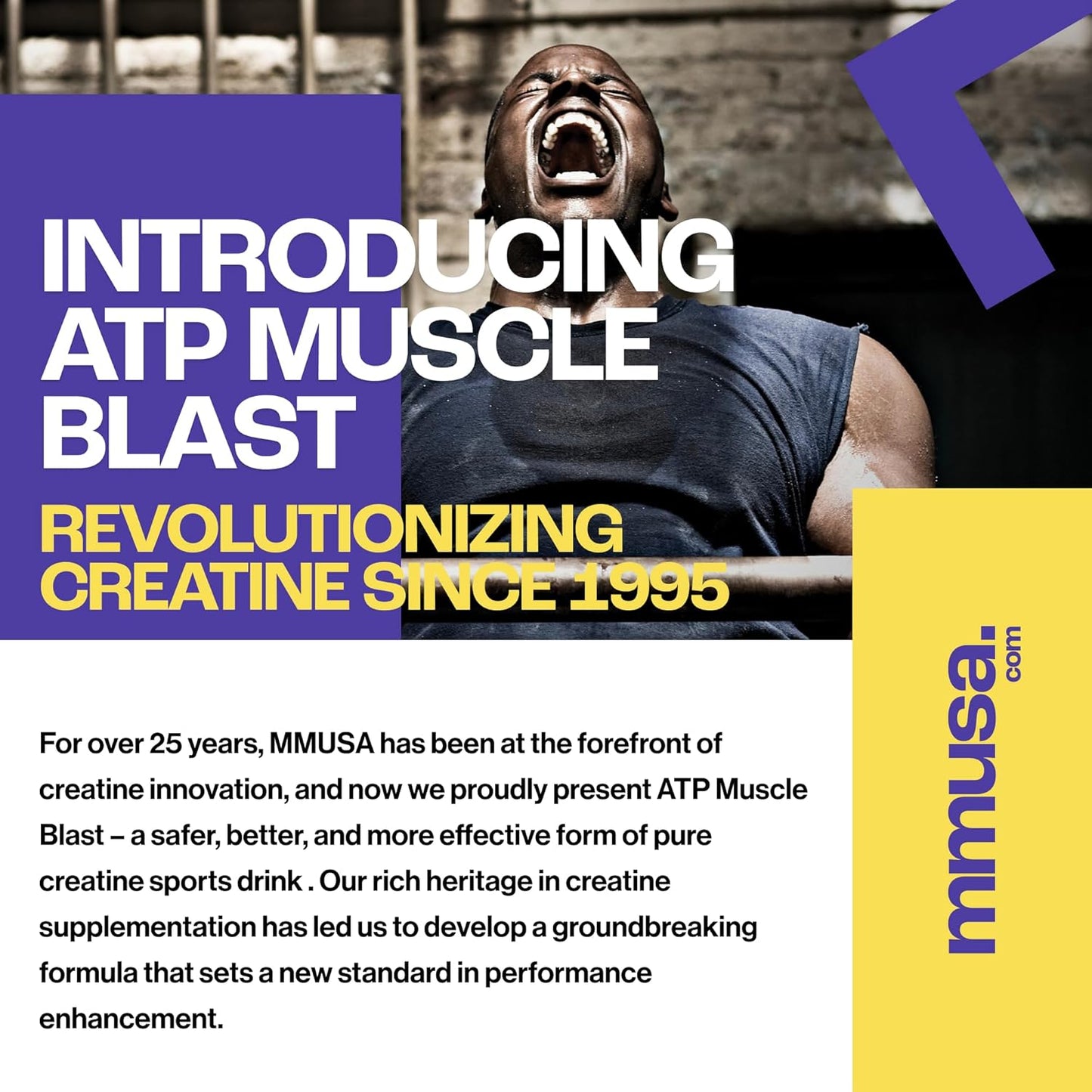 Stable Creatine Energy Drink for Intense Bodybuilding and Endurance Sports - Instant Absorption, Faster Recovery - 30 Sachets, 11.4g Each