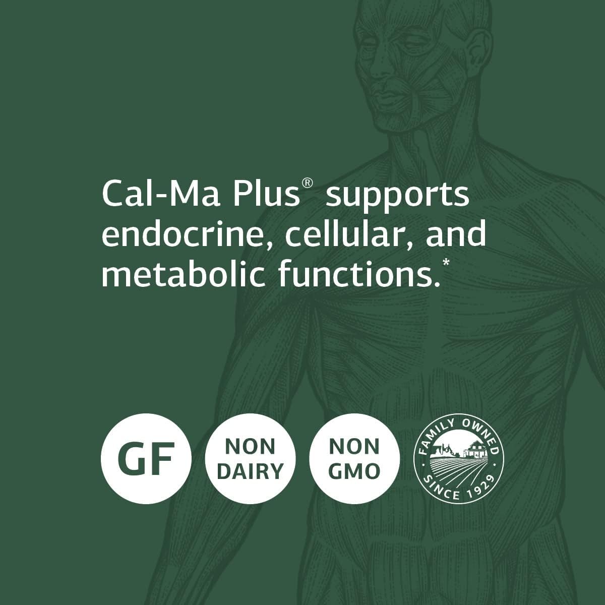 Standard Process Cal-Ma Plus - Natural Calcium & Magnesium Supplement - 90 Tablets