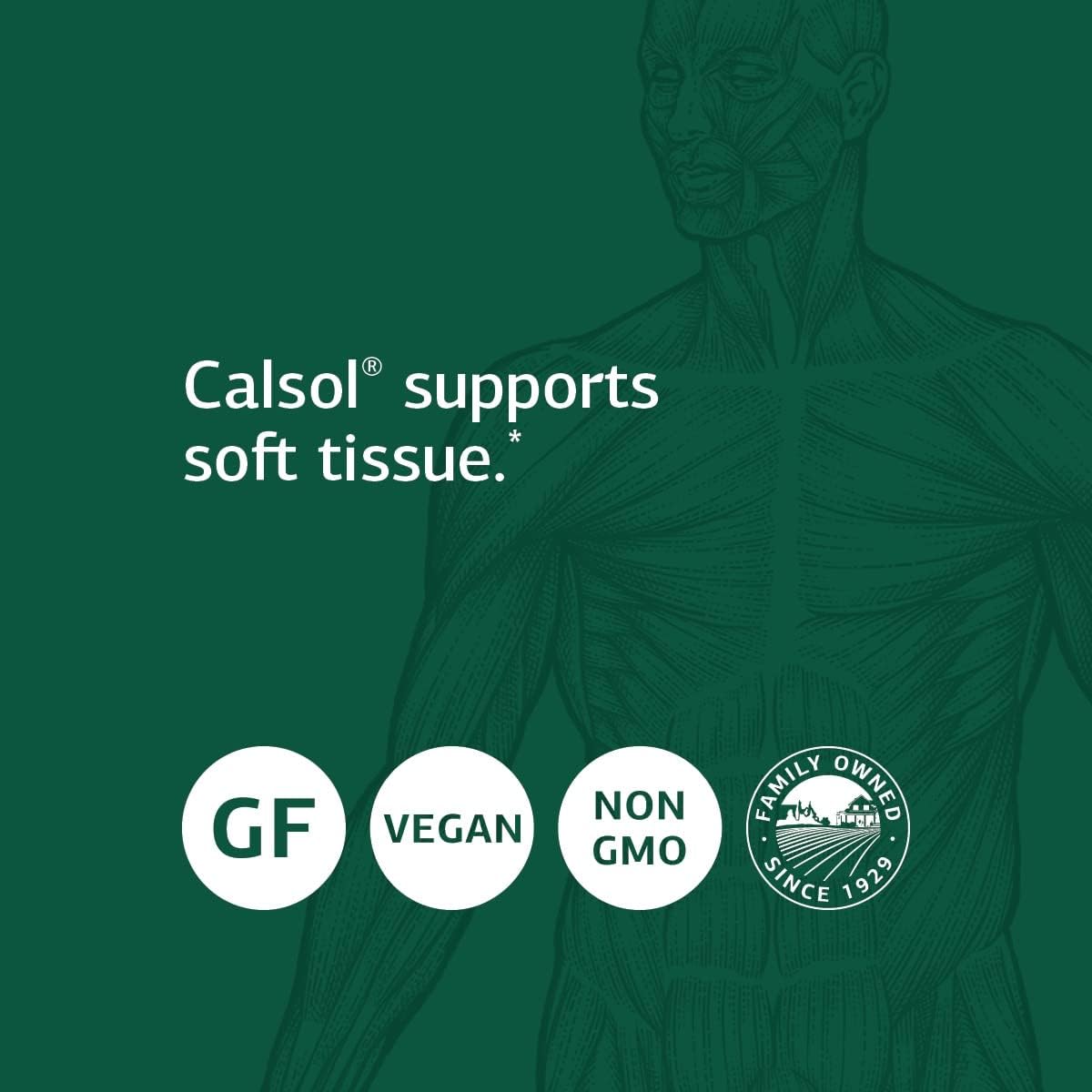 Standard Process Calsol: Musculoskeletal & Bone Health Supplement - Calcium & Phosphorus for Skeleton Nutrition - Supports Nervous System & Soft Tissue - Vegan & Gluten-Free - 90 Tablets