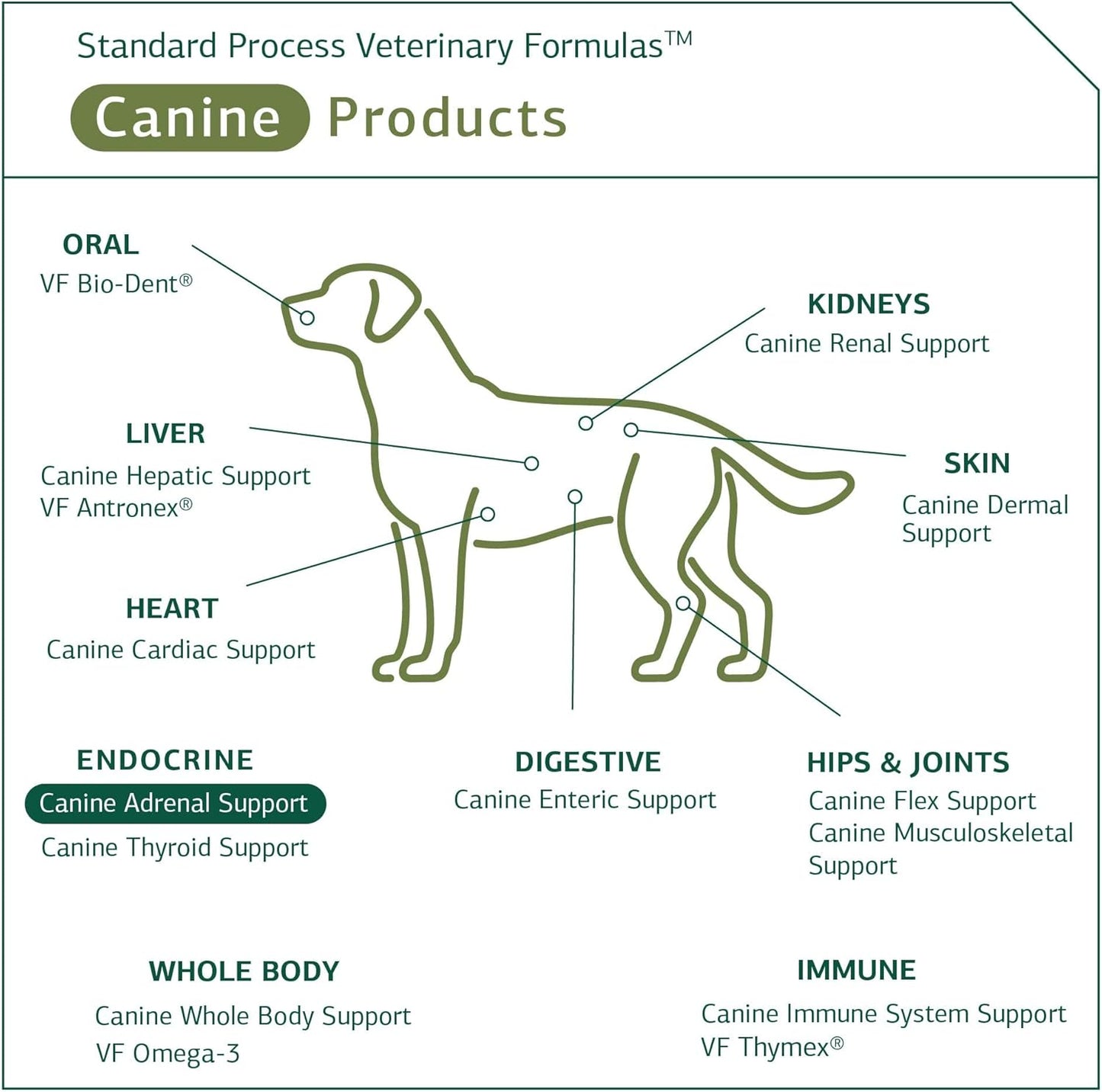 Standard Process Canine Adrenal Support Powder Supplement for Liver & Kidney Health - 25g