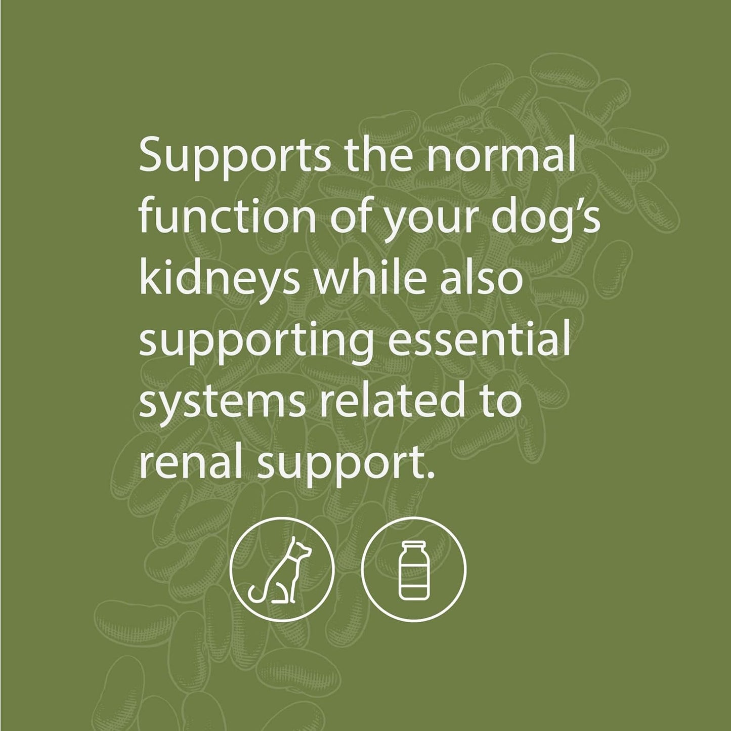 Standard Process Canine Renal Support Supplement for Dog Kidney Health - 30 Grams