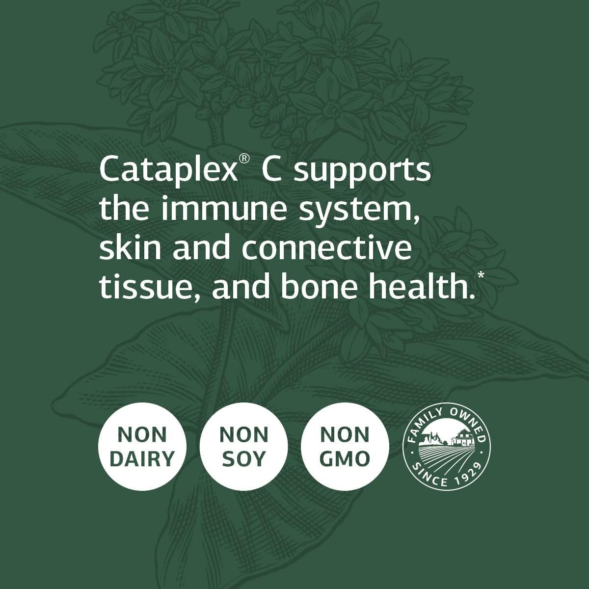 Standard Process Cataplex C - Immune, Adrenal, Skin & Bone Health Supplement - 360 Tablets