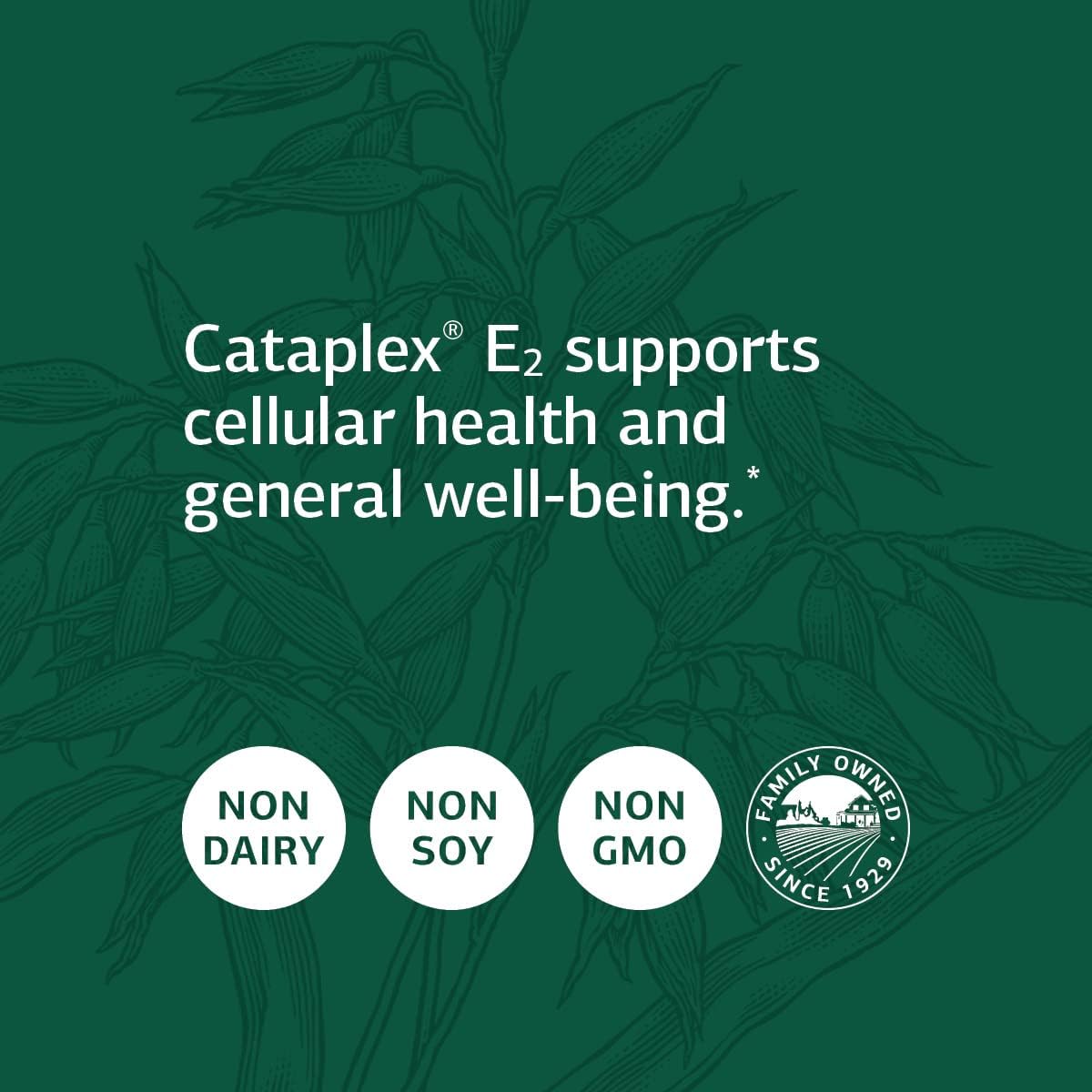 Standard Process Cataplex E2 - 90 Tablets - Essential Vitamin and Mineral Supplement for Energy Support