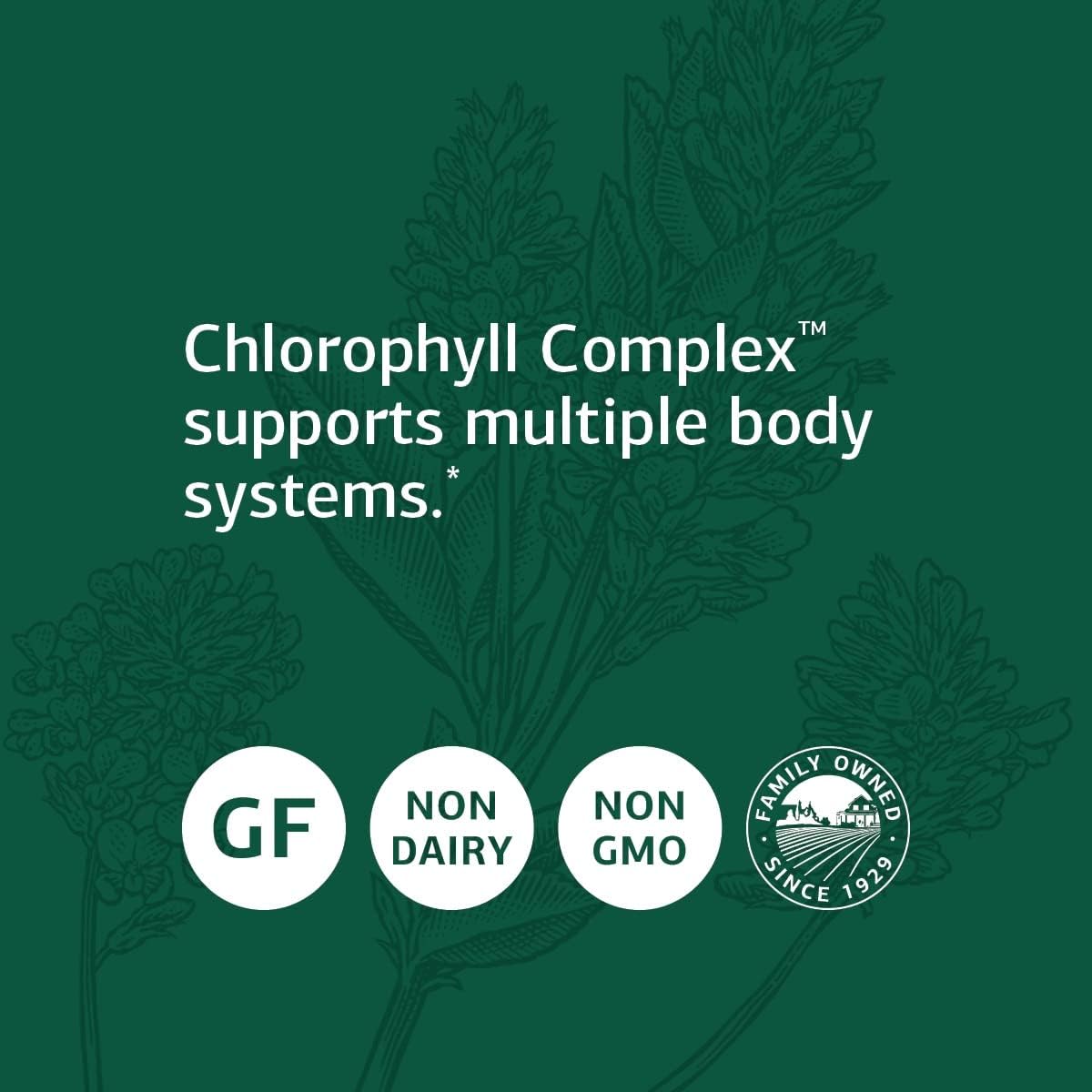 Standard Process Chlorophyll Complex Softgels - Immune and Antioxidant Support with Vitamin A and Sunflower Lecithin - 60 Count