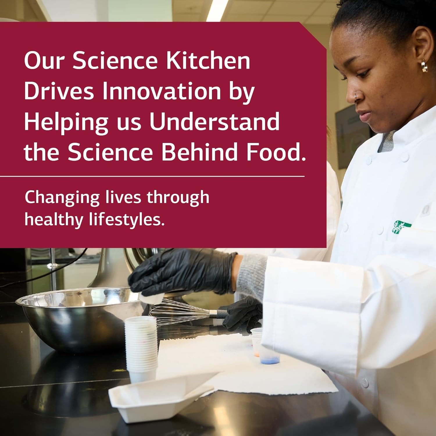 Standard Process Chlorophyll Complex Softgels - Immune and Antioxidant Support with Vitamin A and Sunflower Lecithin - 60 Count