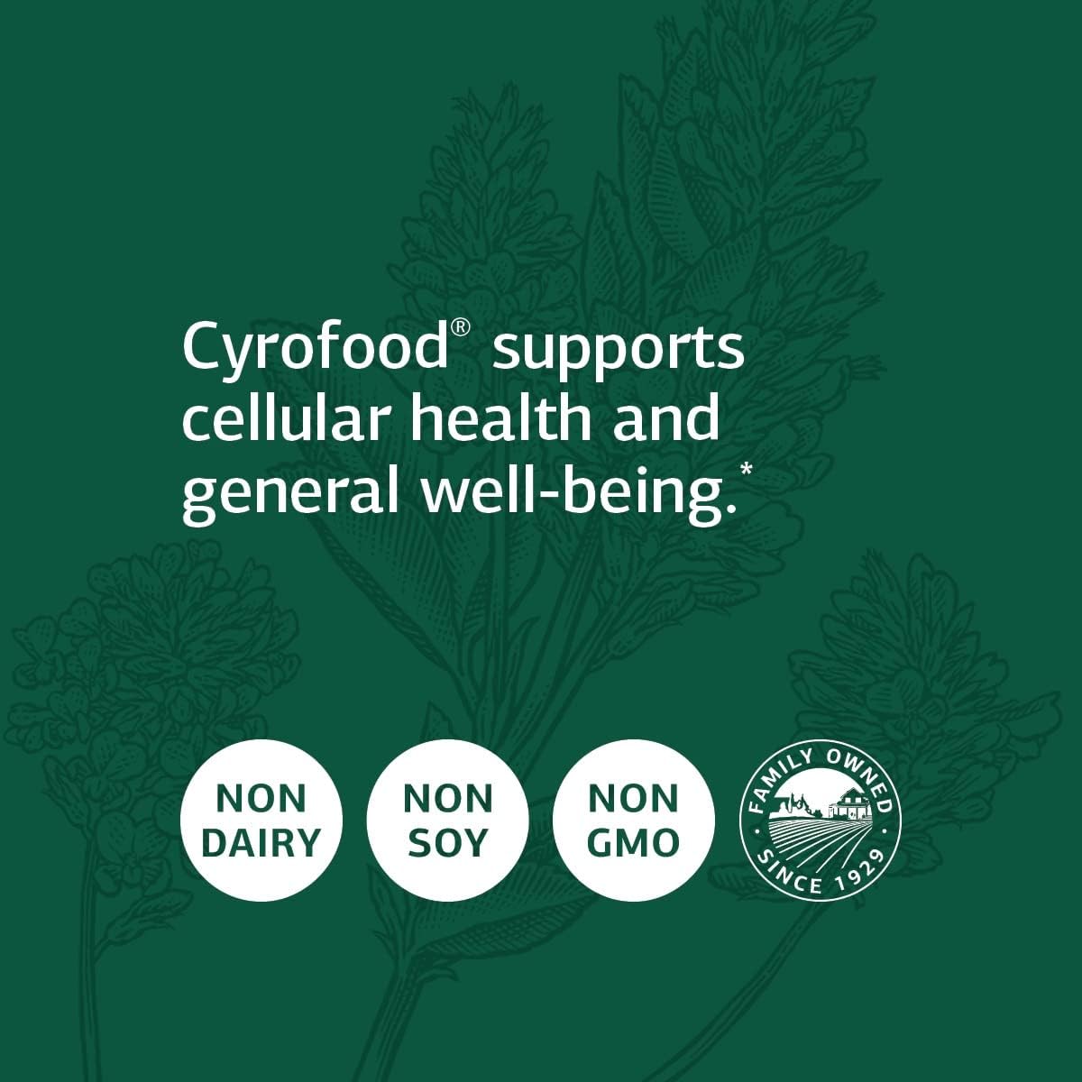 Standard Process Cyrofood Supplement - Healthy Aging Support with Bovine Adrenal & Reishi Mushroom - Whole-Food Based 360 Tablets