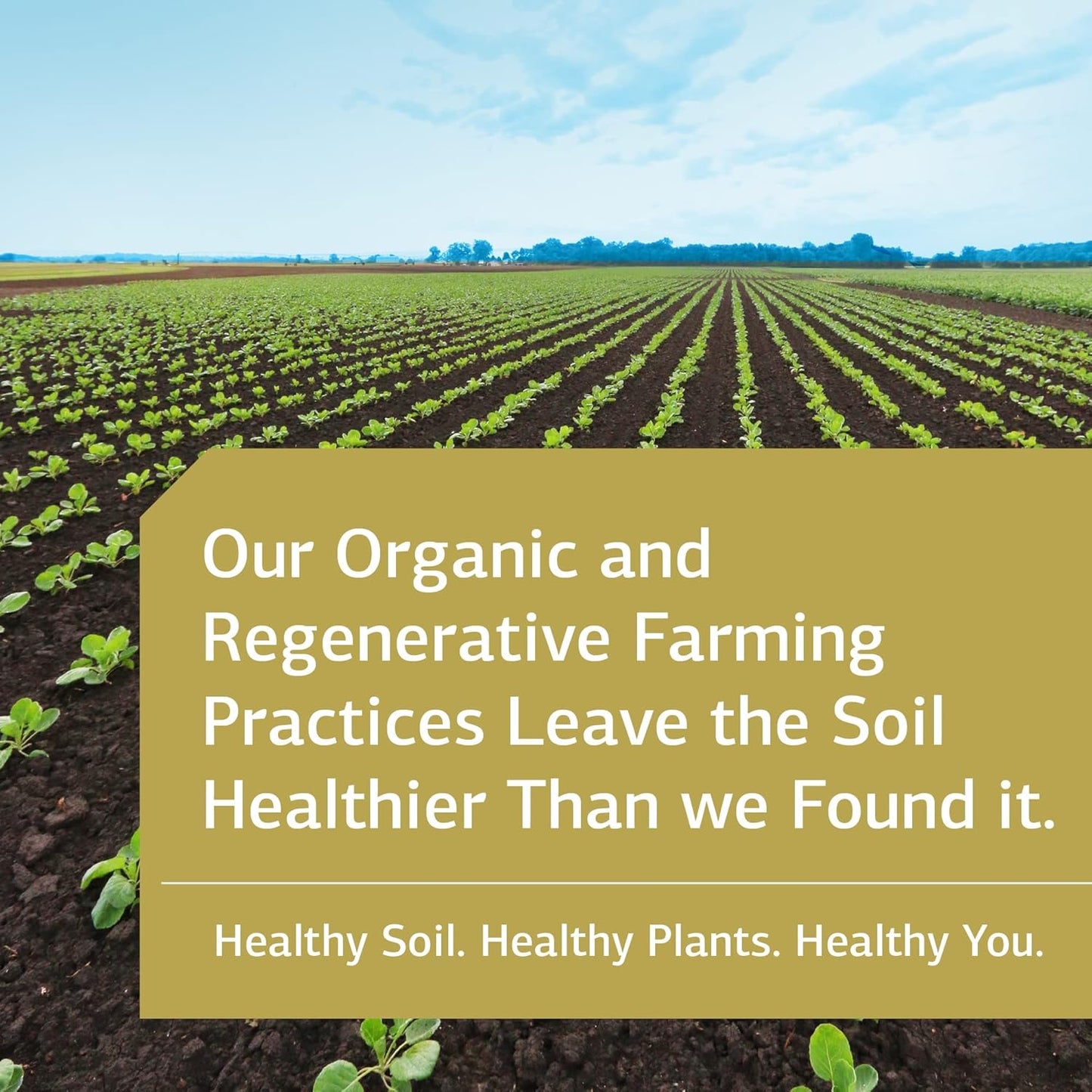 Standard Process Cyrofood Supplement - Healthy Aging Support with Bovine Adrenal & Reishi Mushroom - Whole-Food Based 360 Tablets