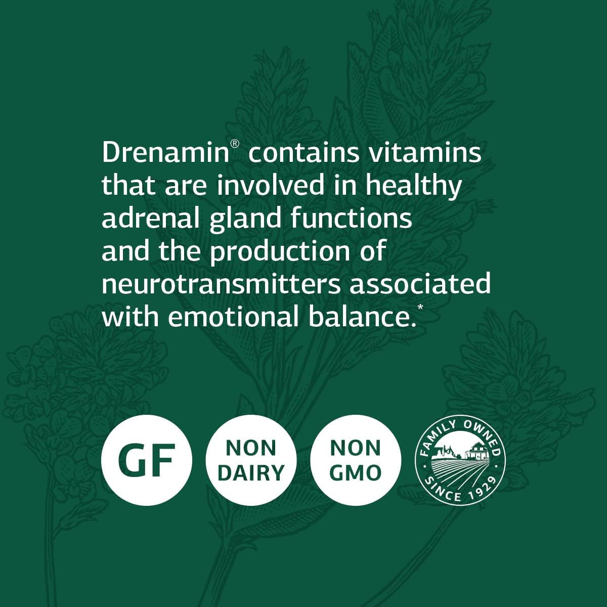 Standard Process Drenamin Tablets - Whole Food Antioxidant for Adrenal and Immune Support, Shitake, Alfalfa, Riboflavin - 90 Count