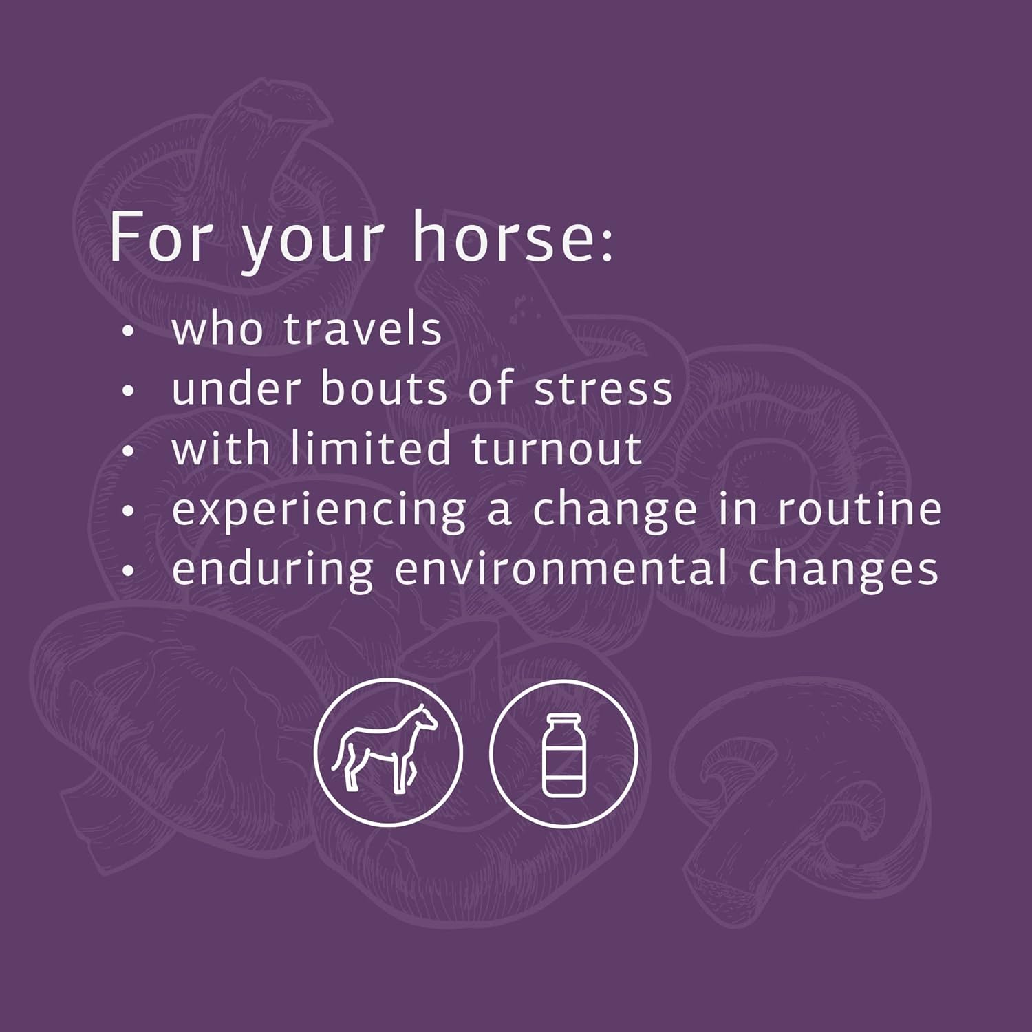 Standard Process Equine Immune Support Supplement - Supports Horse Health with Vitamin A & Whey Protein - 850 g