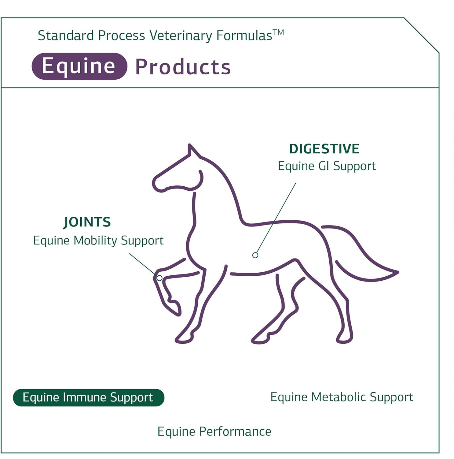 Standard Process Equine Immune Support Supplement - Supports Horse Health with Vitamin A & Whey Protein - 850 g