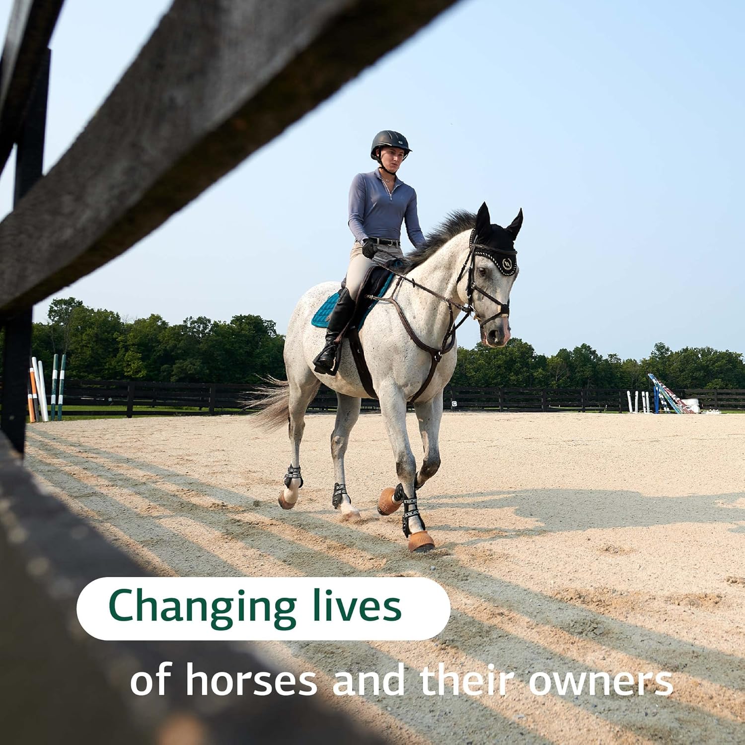 Standard Process Equine Immune Support Supplement - Supports Horse Health with Vitamin A & Whey Protein - 850 g