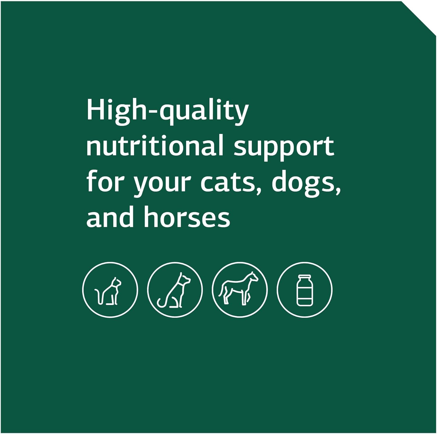 Standard Process Equine Immune Support Supplement - Supports Horse Health with Vitamin A & Whey Protein - 850 g