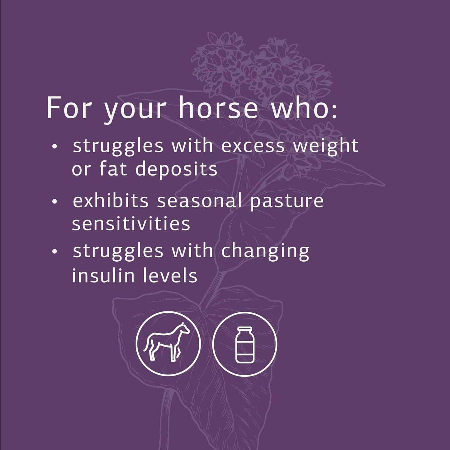 Standard Process Equine Metabolic Support Powder - Whole Food Horse Supplement with Green Tea & Cayenne Pepper - 1134 g