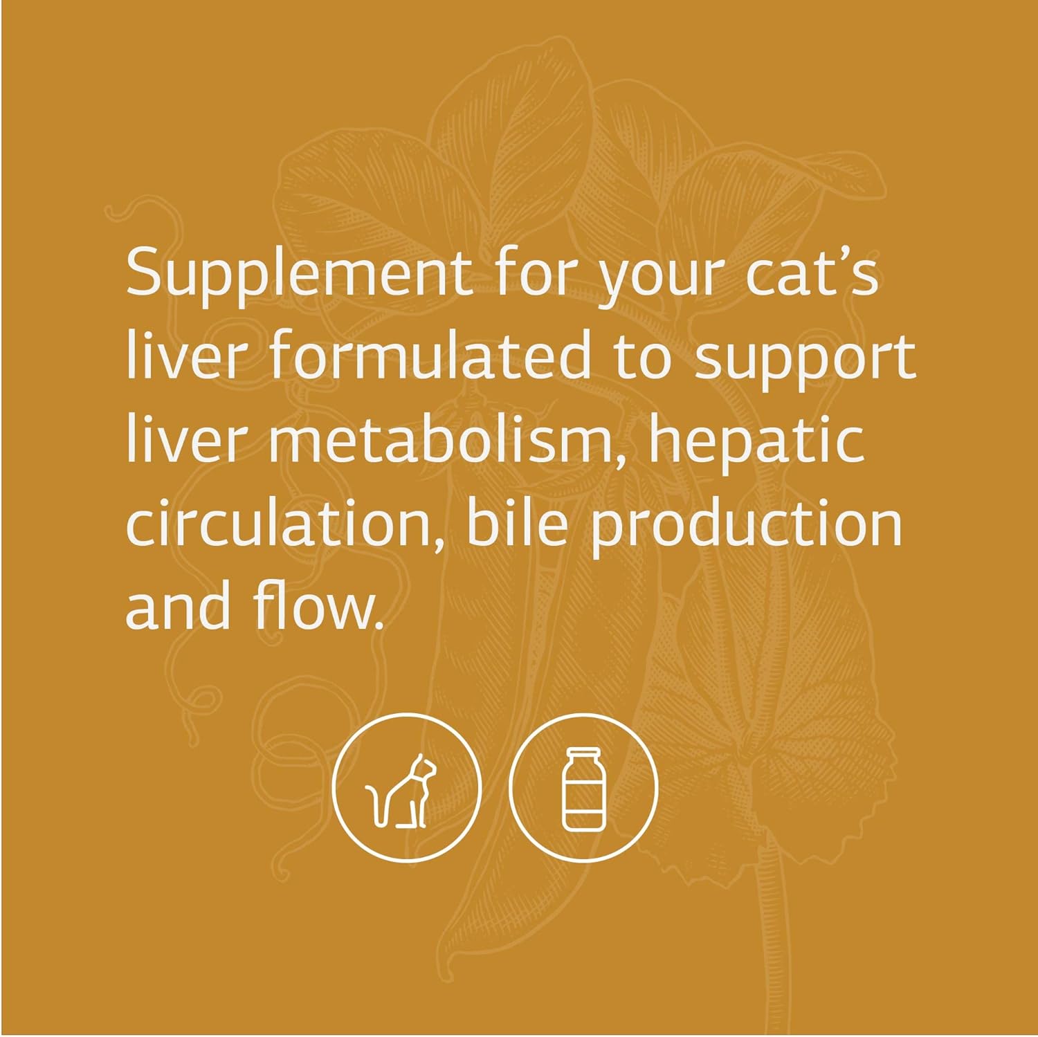Standard Process Feline Hepatic Support Tablets - Liver Health Supplement for Cats - Supports Hepatic Circulation, Metabolism, and Immune Function - 90 Tablets