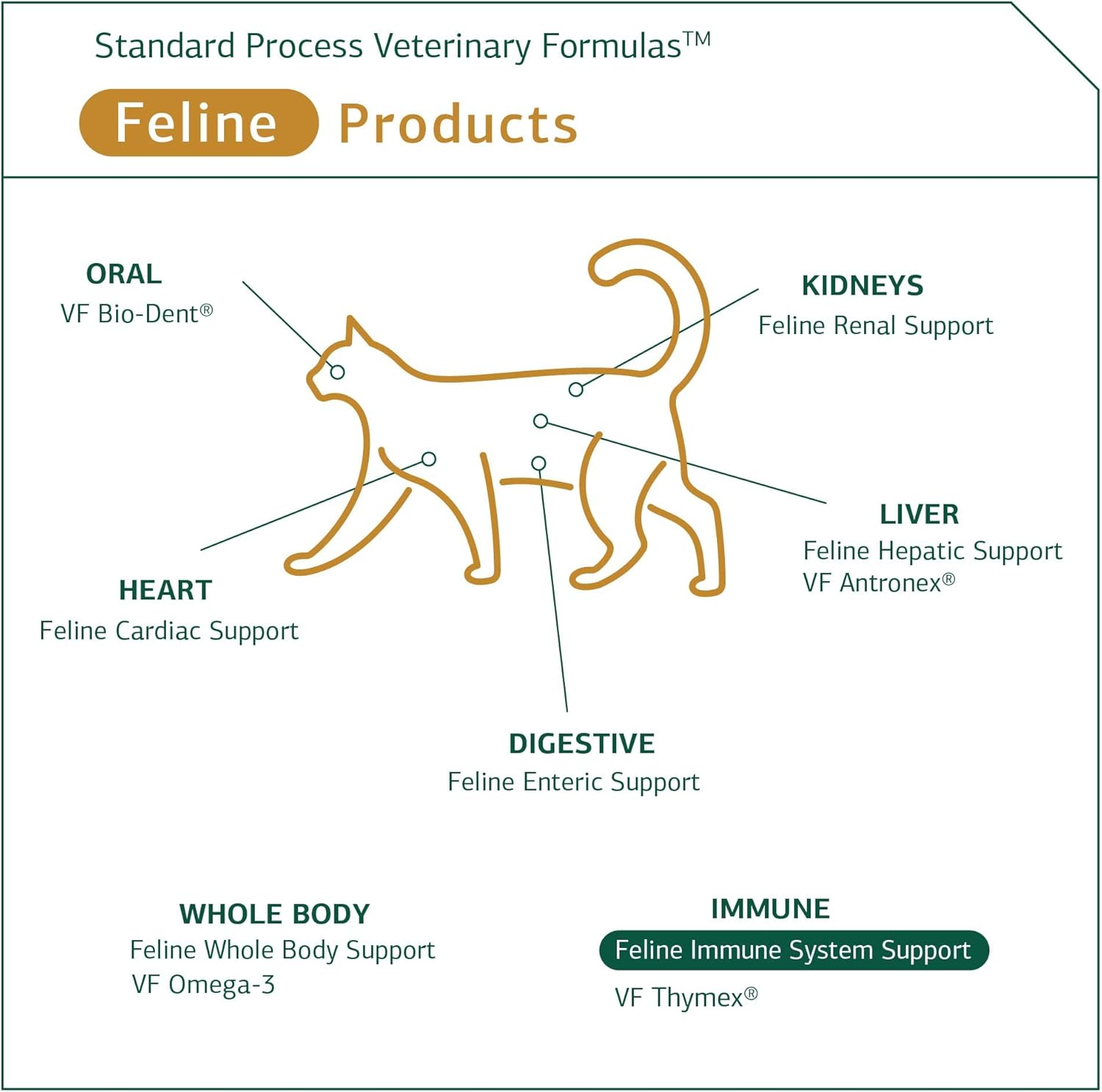 Standard Process Feline Immune System Support Tablets - Boost Cat's Immune Health - Nutritional Supplement for Healthy Immune Cells - 90 Tablets