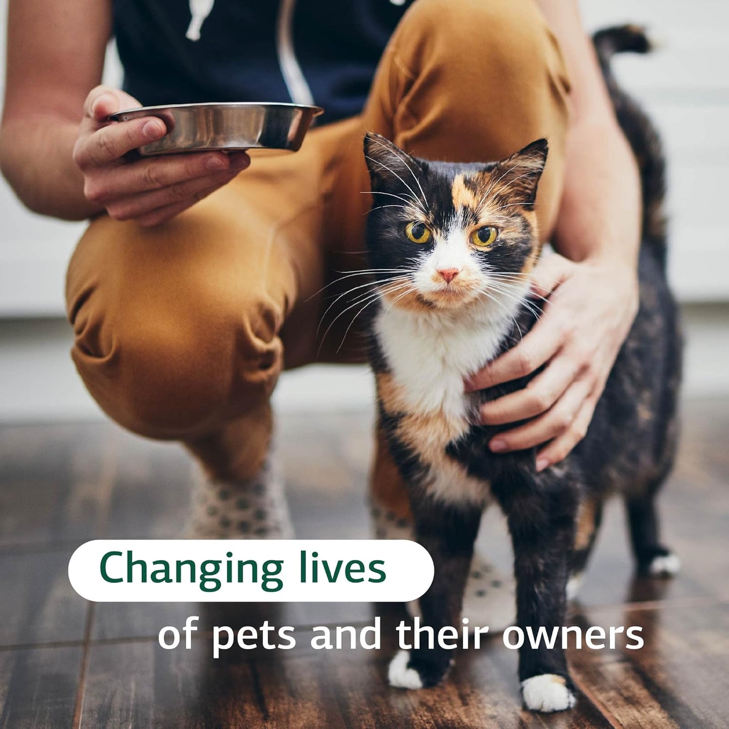 Standard Process Feline Immune System Support Tablets - Boost Cat's Immune Health - Nutritional Supplement for Healthy Immune Cells - 90 Tablets