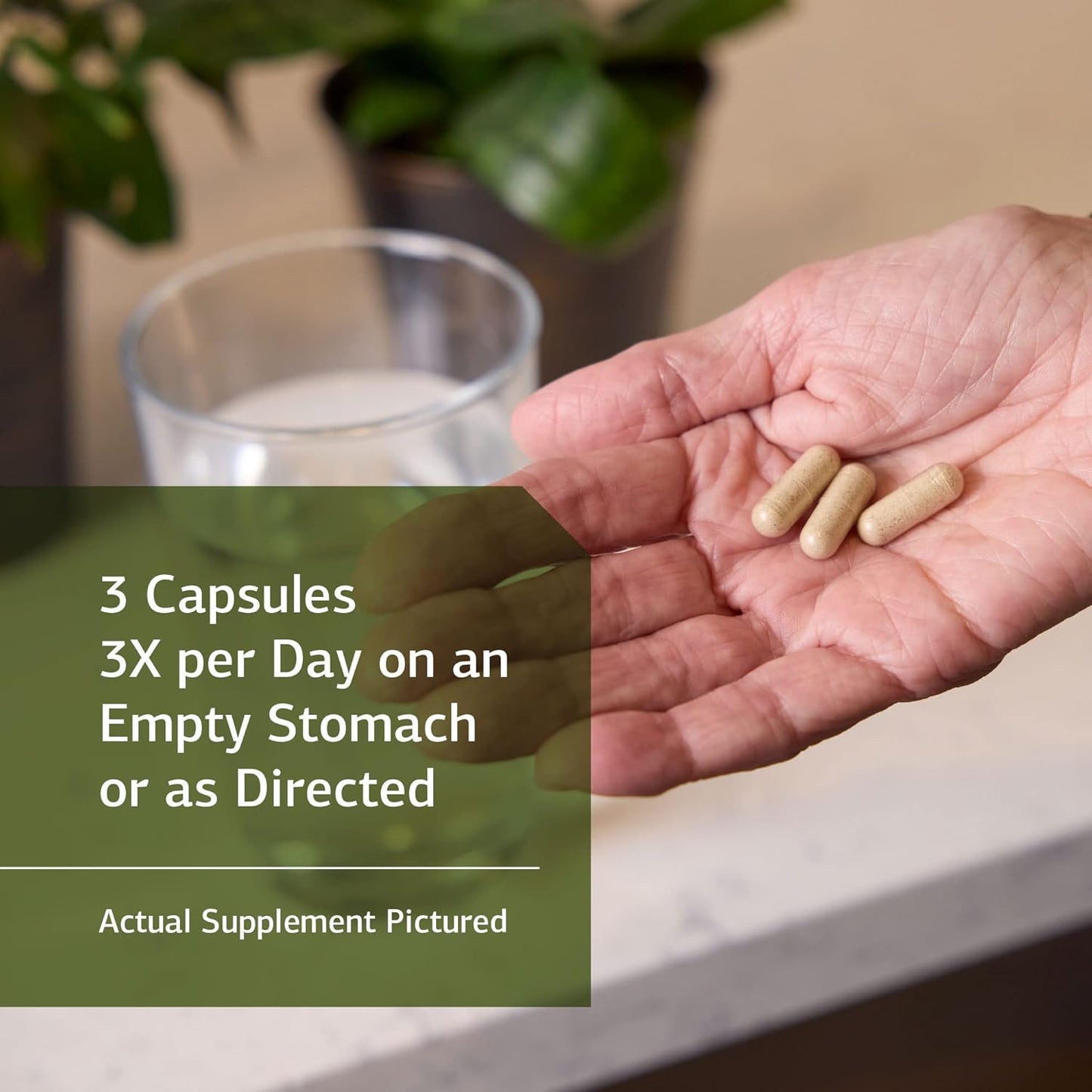 Standard Process Gastro-Fiber Capsules - Natural Digestive Health Support with Collinsonia Root, Apple Pectin, and Fennel Seed - 150 Count