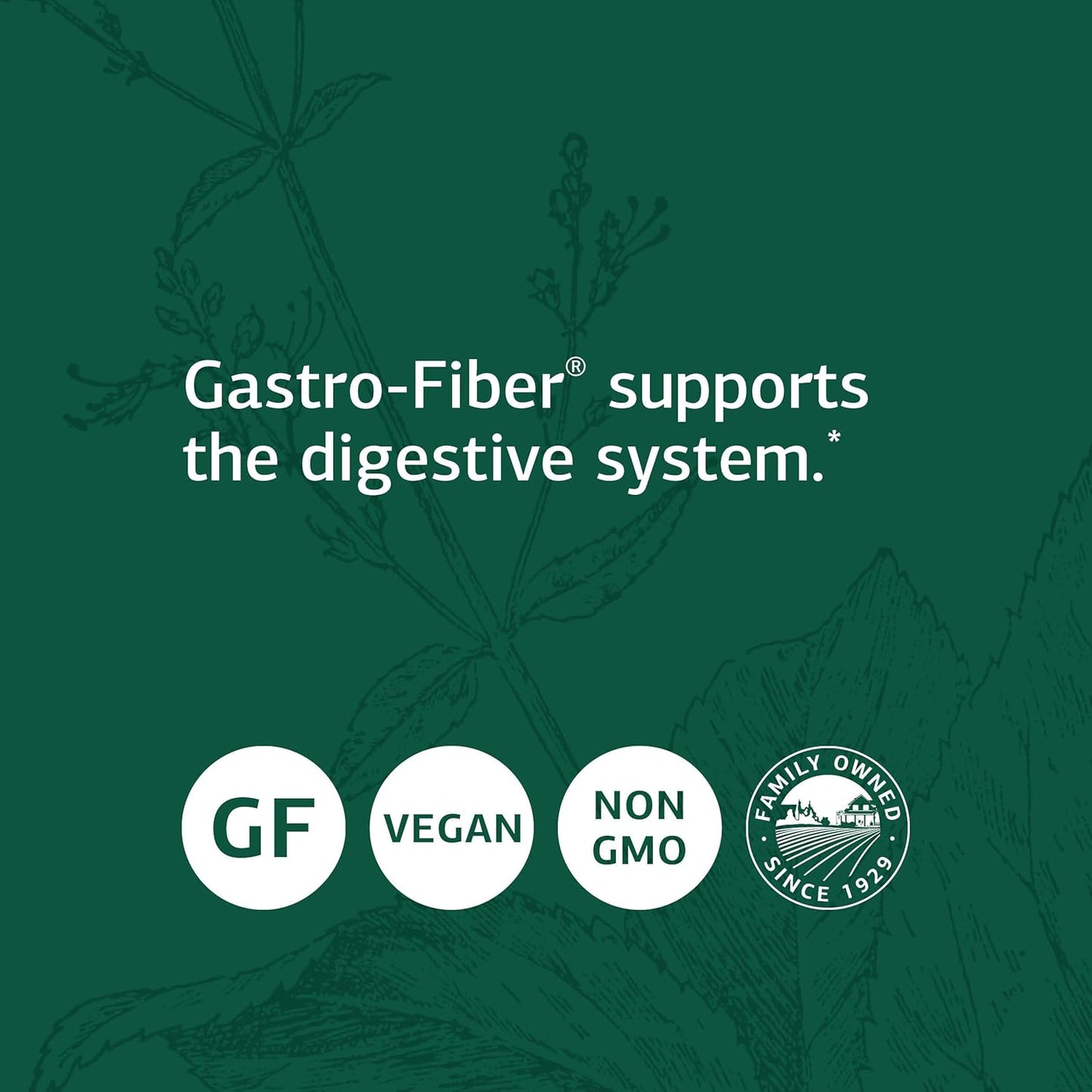 Standard Process Gastro-Fiber Capsules - Natural Digestive Health Support with Collinsonia Root, Apple Pectin, and Fennel Seed - 150 Count