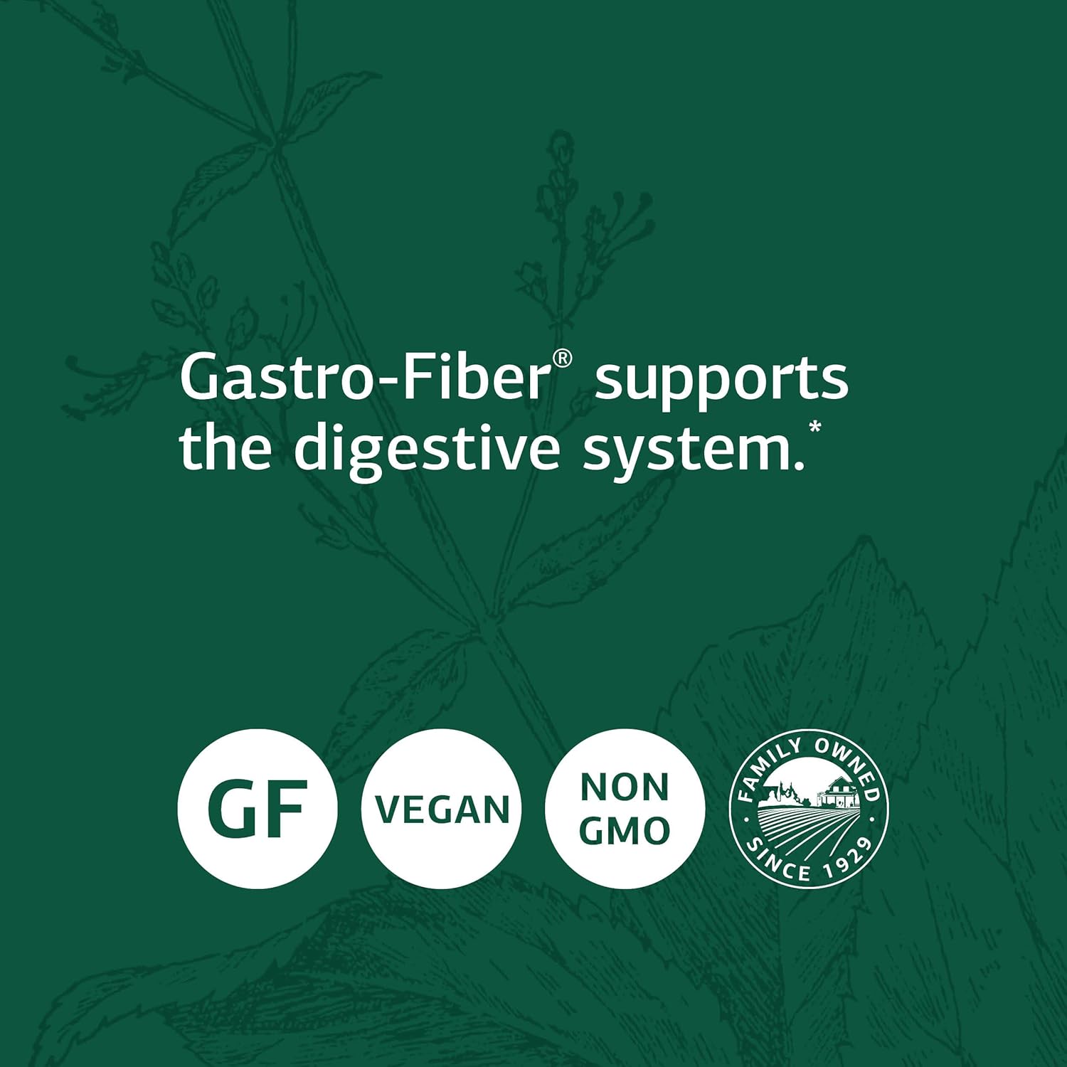 Standard Process Gastro-Fiber Capsules - Natural Digestive Health Support with Collinsonia Root, Apple Pectin, and Fennel Seed - 150 Count