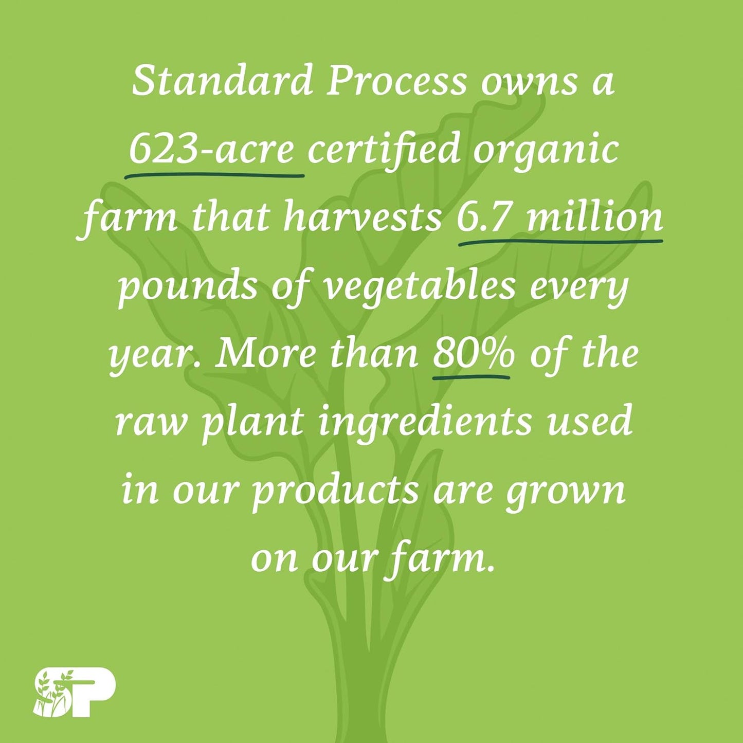 Standard Process Inc. StandardBar - Vegetarian Gluten-Free Protein Bar with Whole Food Formula - 18 Pack Soy Almond Crunch - Calcium, Potassium