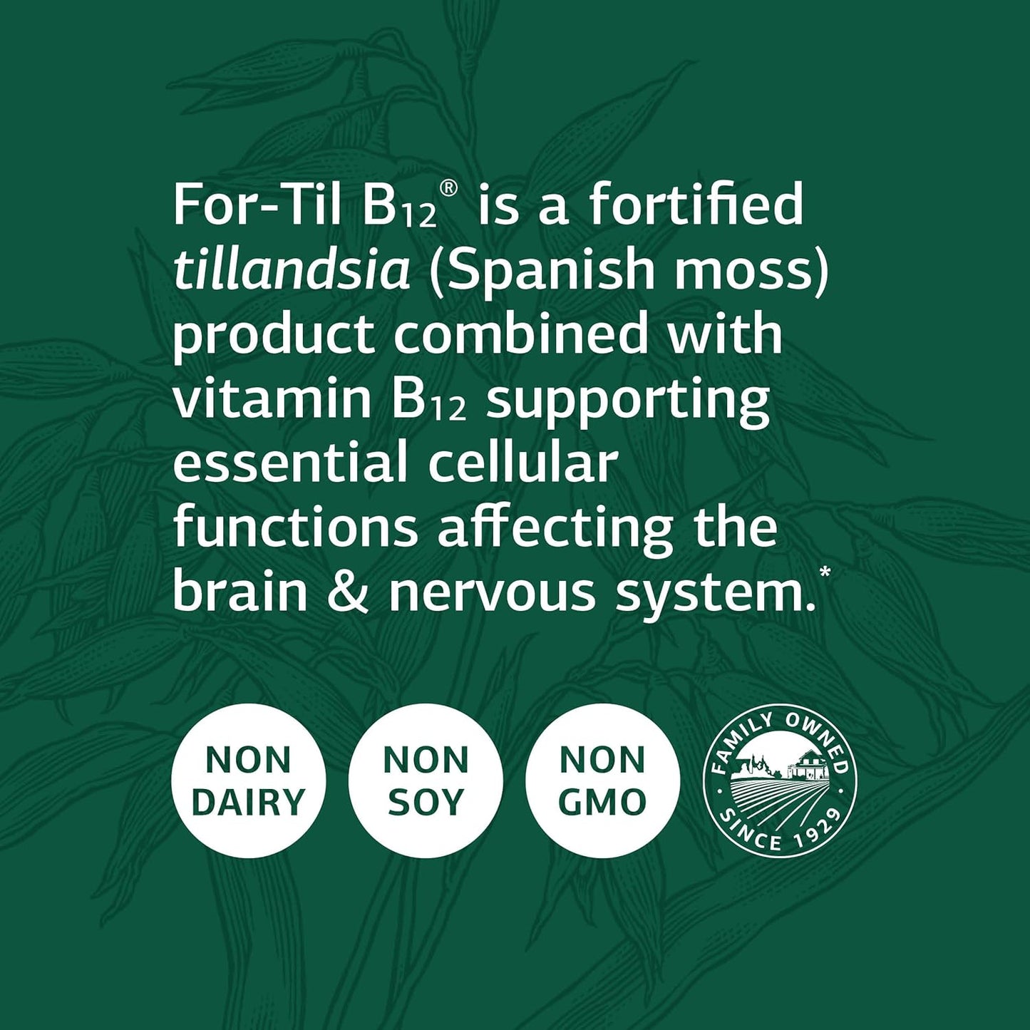 Standard Process Inc. Whole Food Vitality and Immune Support Capsules with B12, Tillandsia, Calcium Lactate, Ascorbic Acid - 90 Count