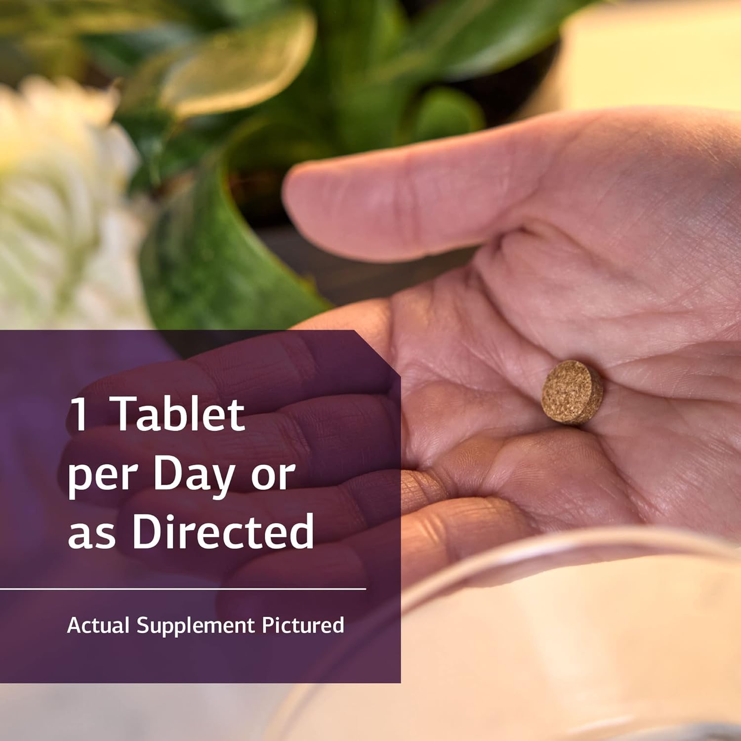 Standard Process Iodomere Tablets - Whole Food Thyroid Support with Organic Ingredients - 90 Count