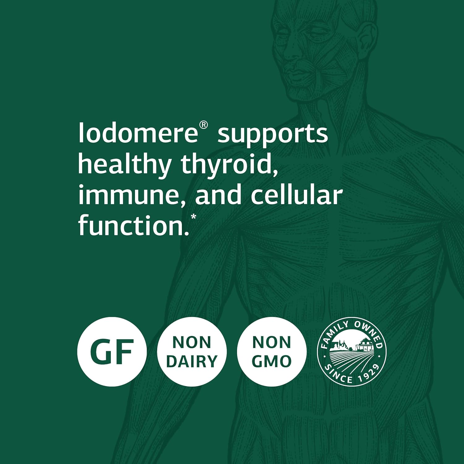 Standard Process Iodomere Tablets - Whole Food Thyroid Support with Organic Ingredients - 90 Count