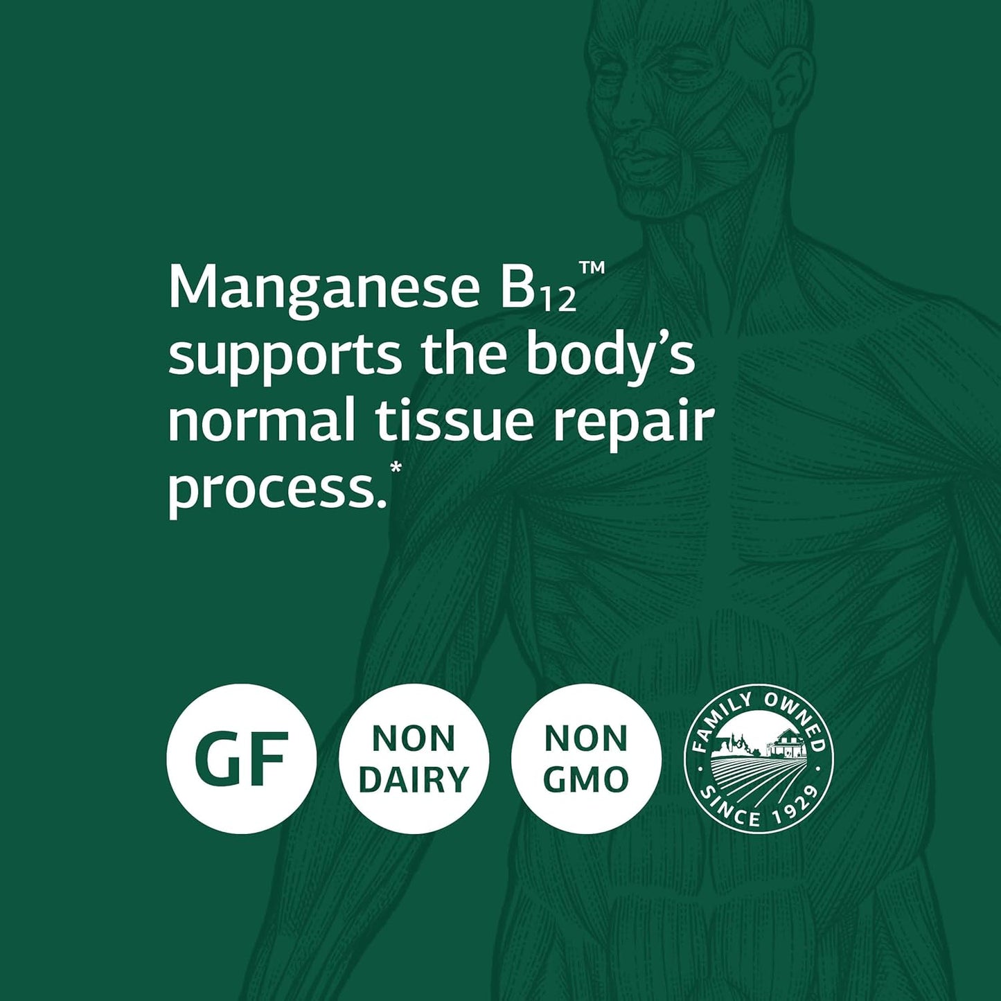 Standard Process Manganese B12 Tablets - Whole Food Hemoglobin and Antioxidant Supplement