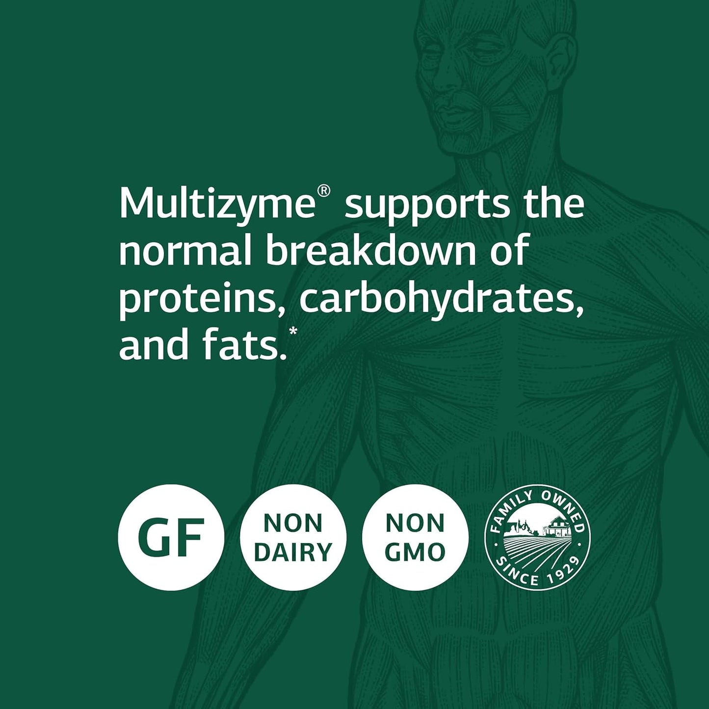 Standard Process Multizyme - Whole Food Pancreas Support Supplement with Digestive Enzymes - 90 Capsules