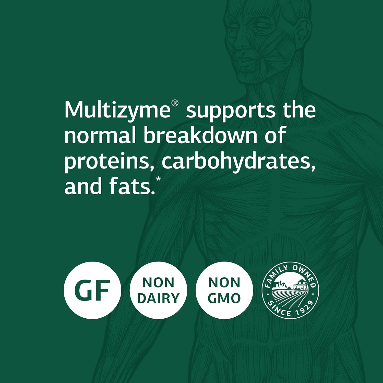 Standard Process Multizyme - Whole Food Pancreas Support Supplement with Digestive Enzymes - 90 Capsules