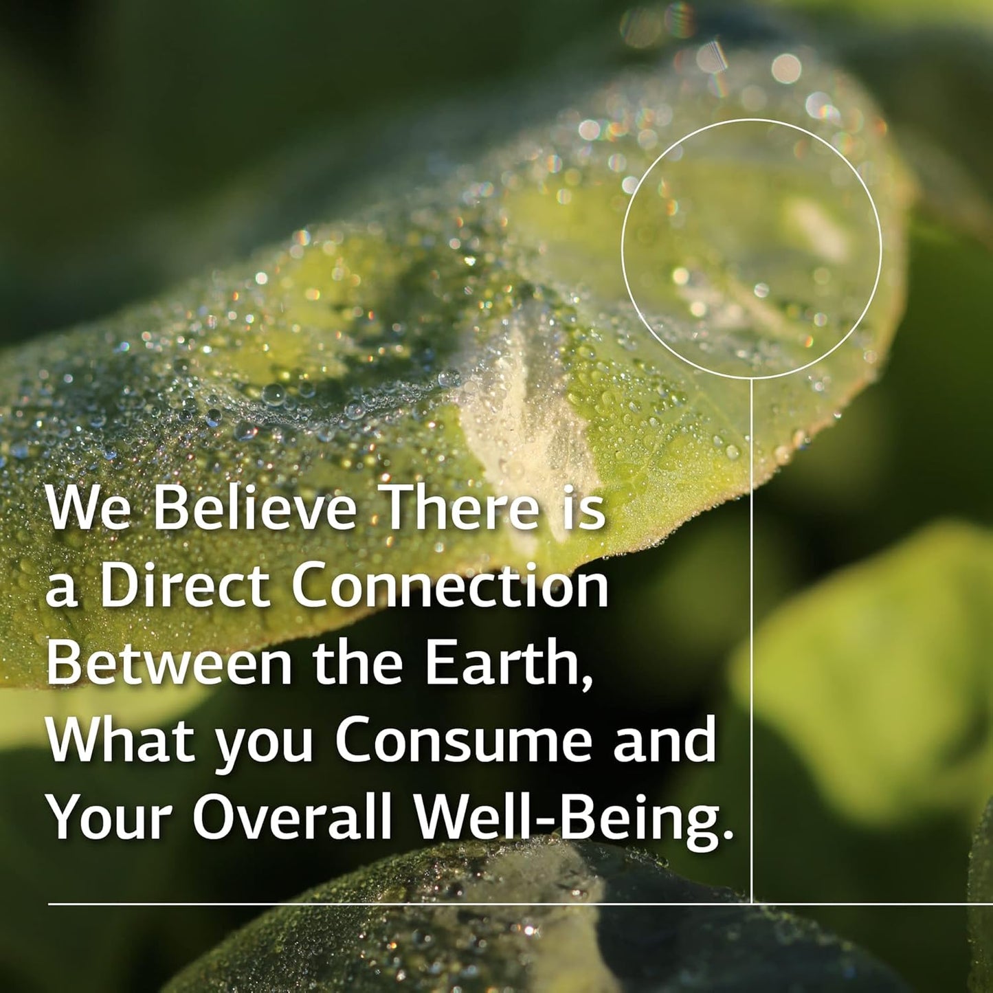 Standard Process Multizyme - Whole Food Pancreas Support Supplement with Digestive Enzymes - 90 Capsules