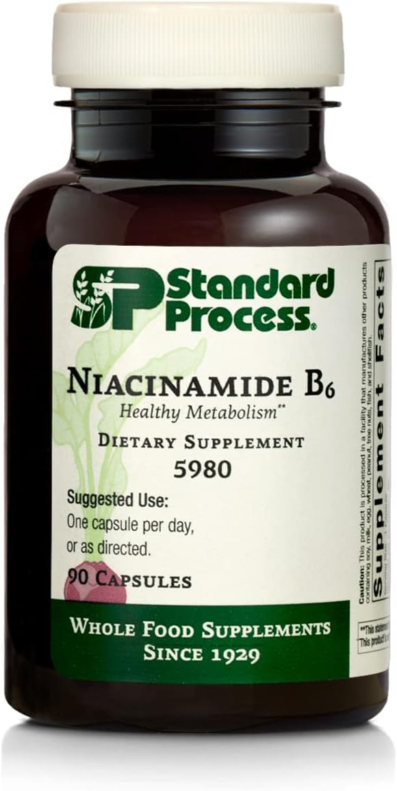 Standard Process Niacinamide B6 Capsules - Whole Food Supplements for Energy, Metabolism, and Nervous System Boost