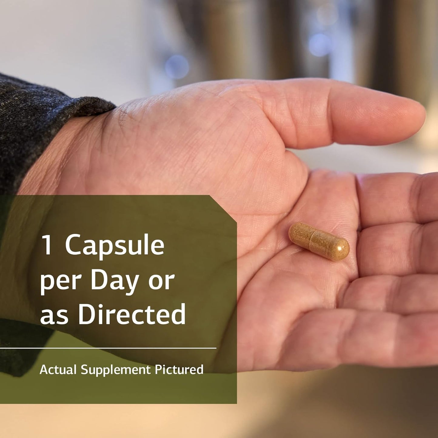 Standard Process Niacinamide B6 Capsules - Whole Food Supplements for Energy, Metabolism, and Nervous System Boost