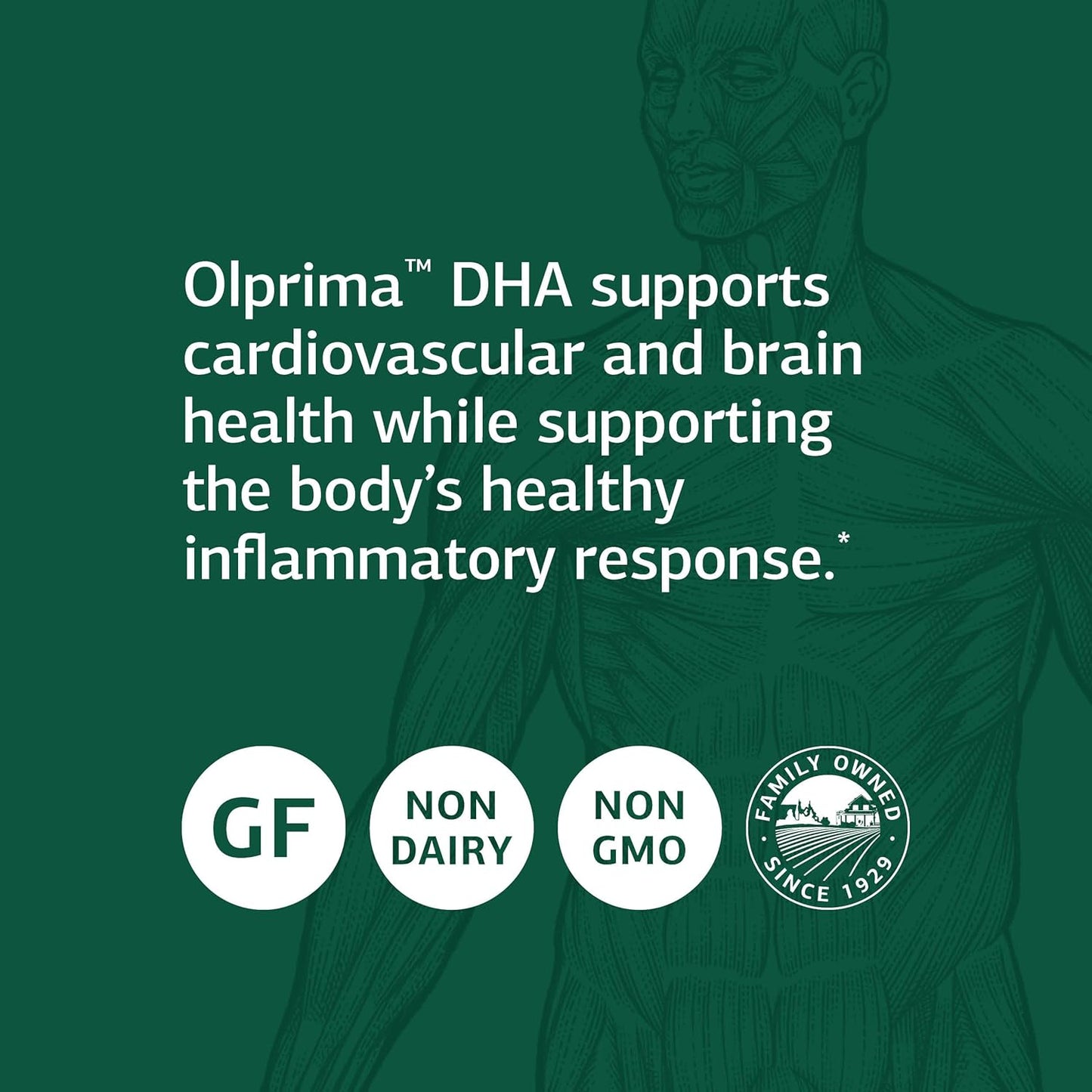Standard Process Olprima DHA Softgels - Whole Food Cognitive & Heart Health Support with Tuna Fish Oil & Astaxanthin - 60ct Gluten Free