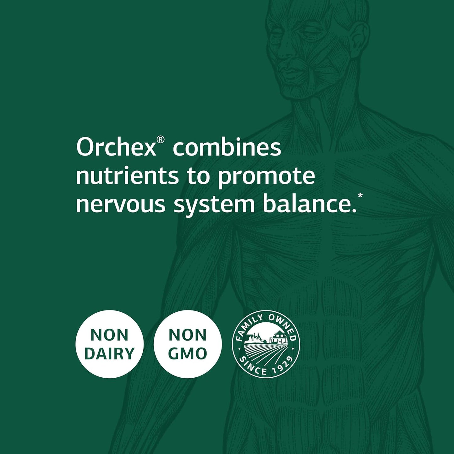Standard Process Orchex - Whole Food Nervous System Supplement for Cholesterol, Mental Clarity, and Emotional Support - 90 Capsules