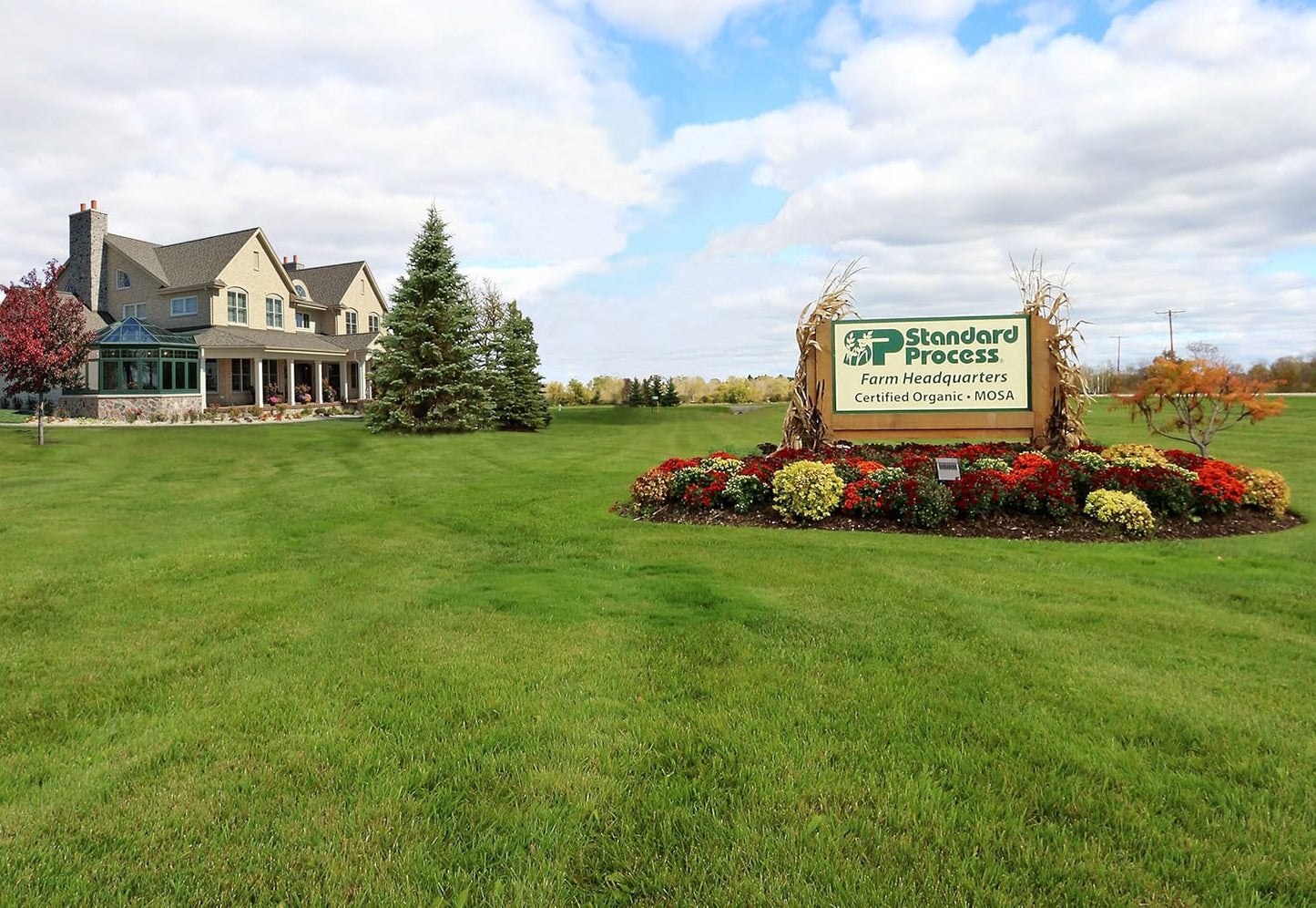 Standard Process Prolamine Iodine Tablets - Promotes Healthy Iodine Levels & Thyroid Function - Gluten Free & Vegetarian - 180 Tablets