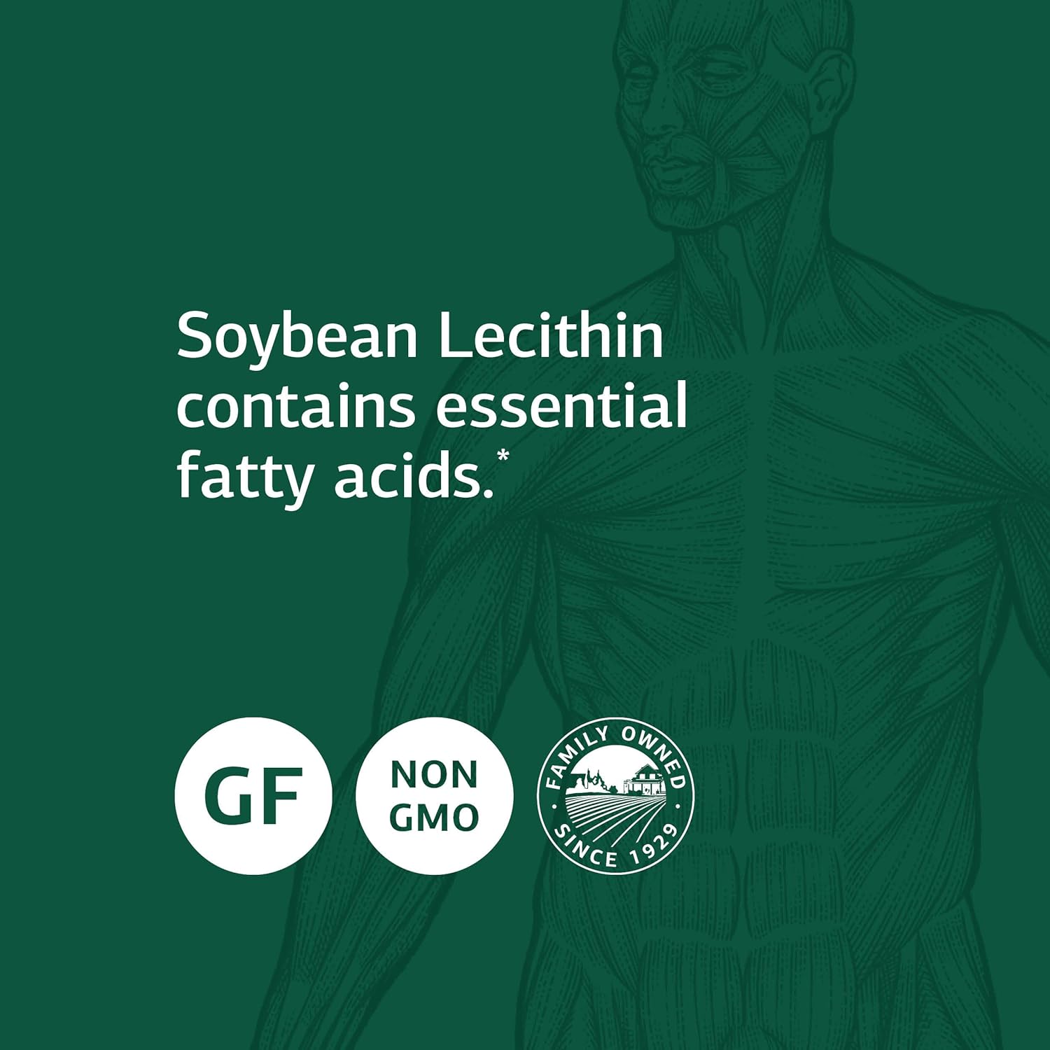 Standard Process Soybean Lecithin Softgels for Cognitive and Liver Health, Gluten-Free, 240 Count