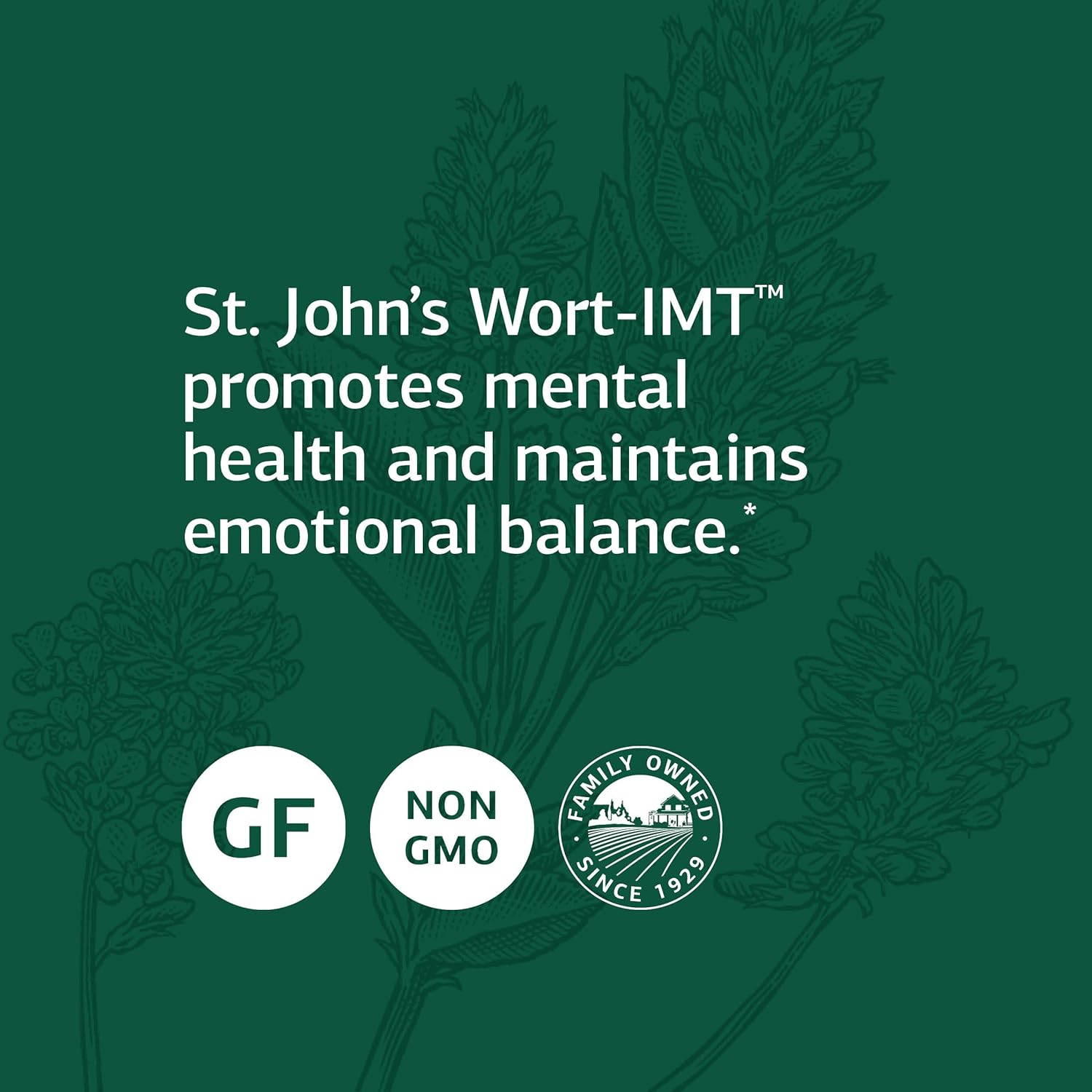 Standard Process St John's Wort-IMT Capsules - Organic Whole Food Mental Health & Stress Relief with Carrot, Alfalfa, Calcium, Inositol, Iodine, & Magnesium - 90ct
