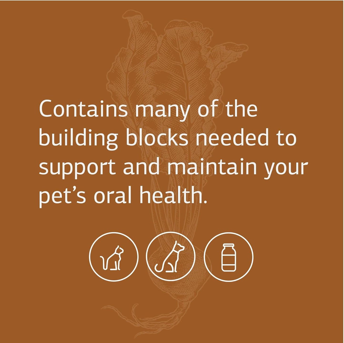 Standard Process VF Bio-Dent for Pets - Bone Growth & Oral Health Supplement - Nutritional Support for Cats & Dogs - 90 Tablets