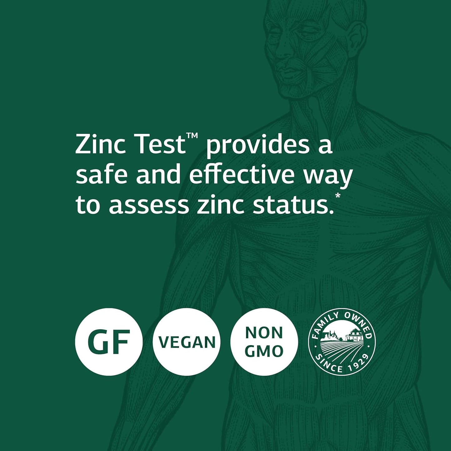 Standard Process Zinc Test Supplement - 2 fl. oz. Zinc Standard Process Supplements