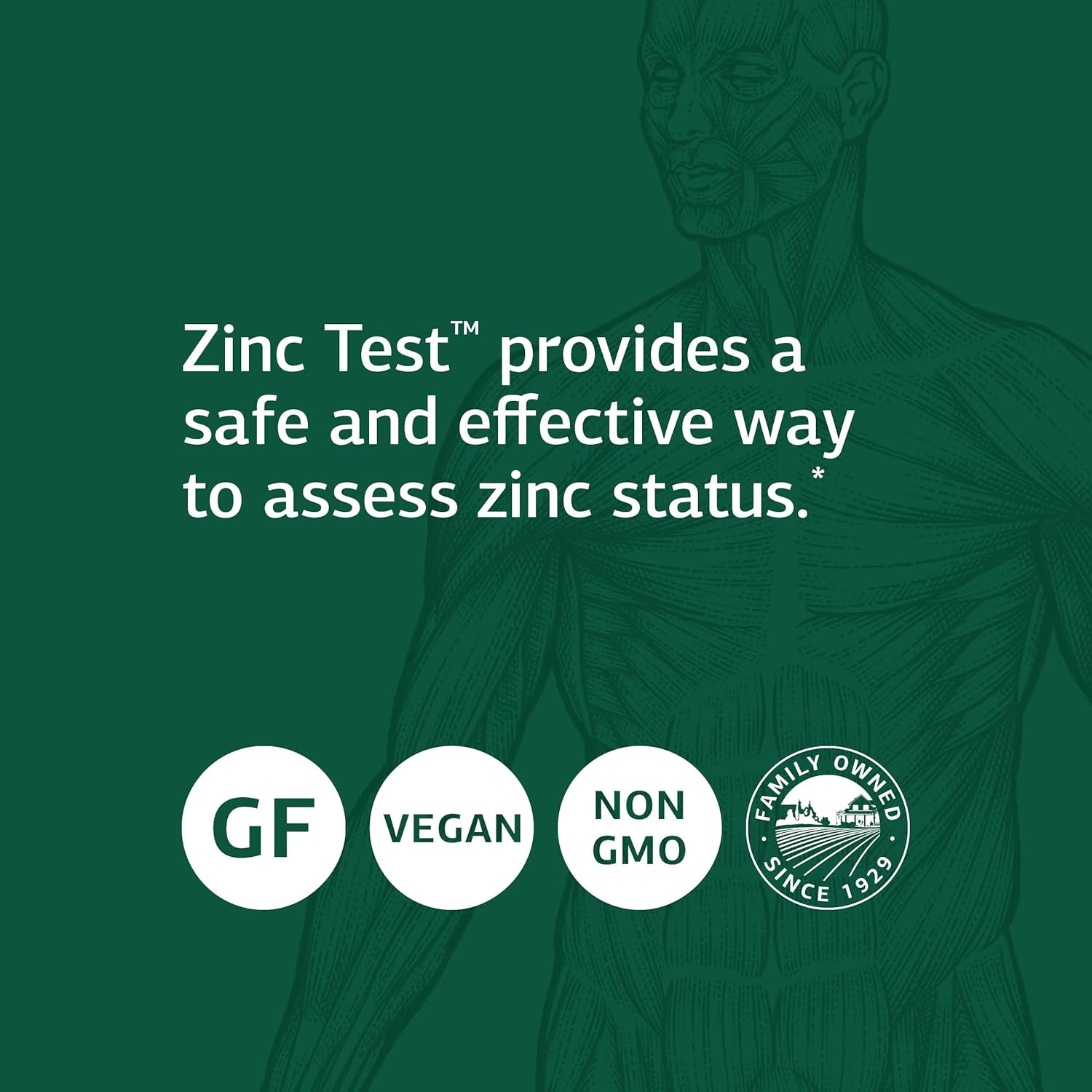 Standard Process Zinc Test Supplement - 2 fl. oz. Zinc Standard Process Supplements