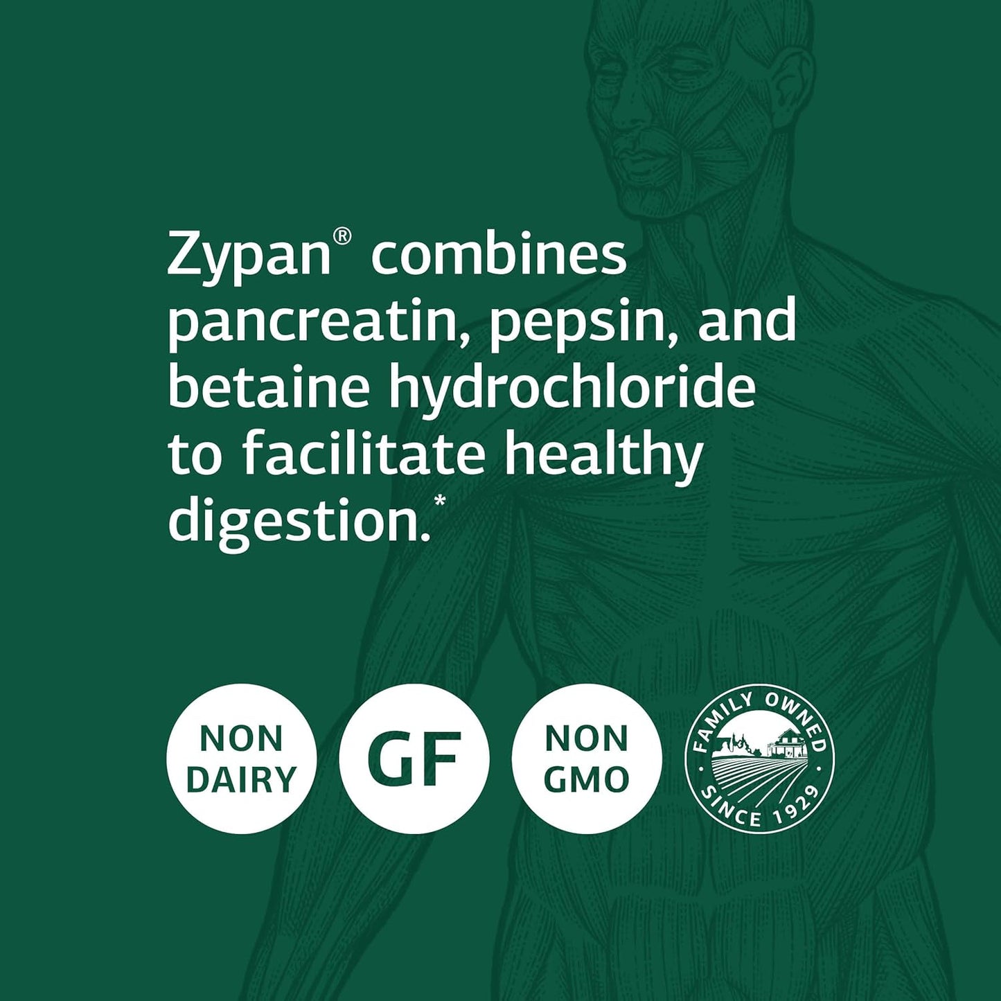 Standard Process Zypan Digestive Health Supplement - Supports Macronutrient Digestion - 330 Tablets
