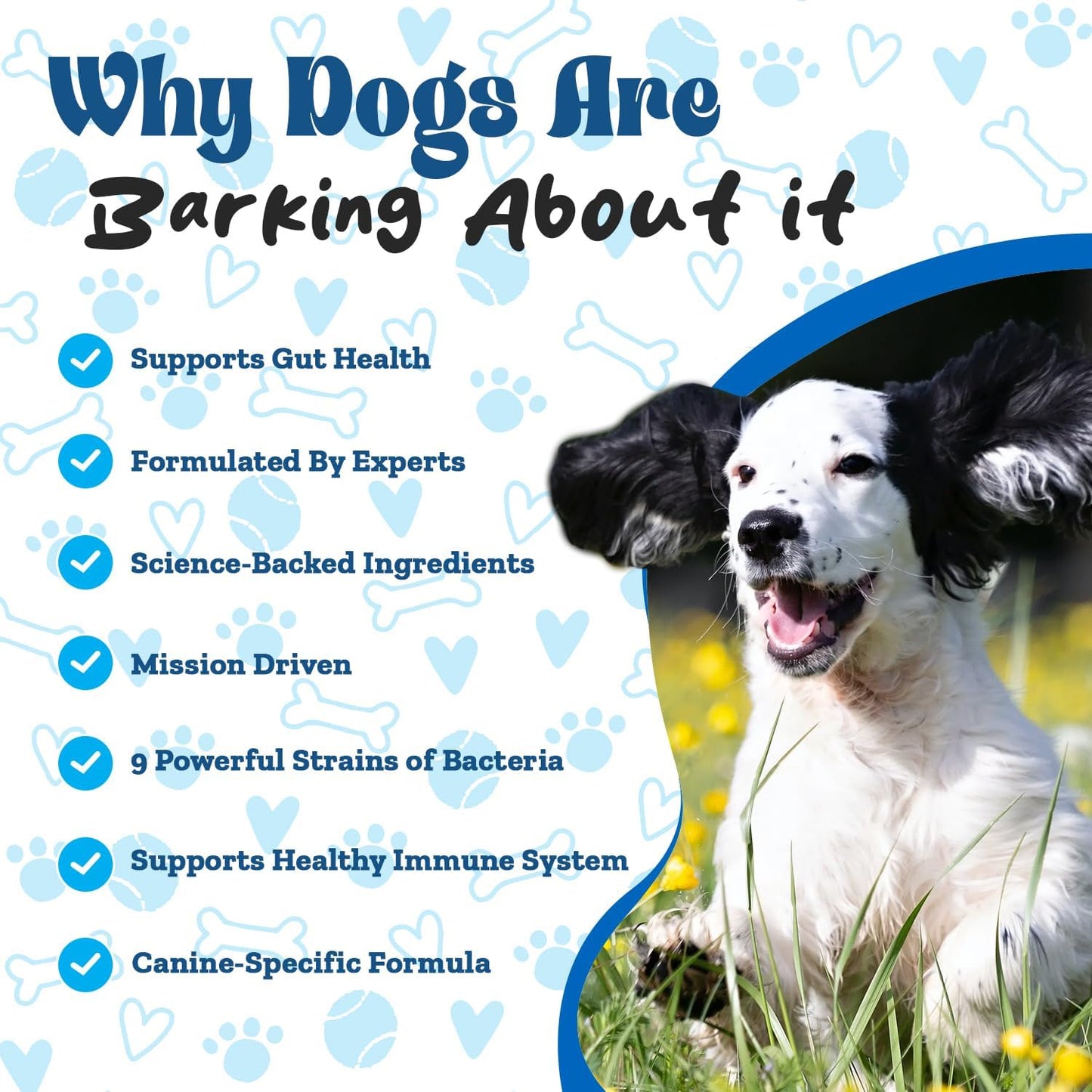Steak Flavored Probiotic Powder for Dogs - 90 Scoops - Supports Gut Health, Digestion, Immune System, Skin, and Coat - All Dog Breeds
