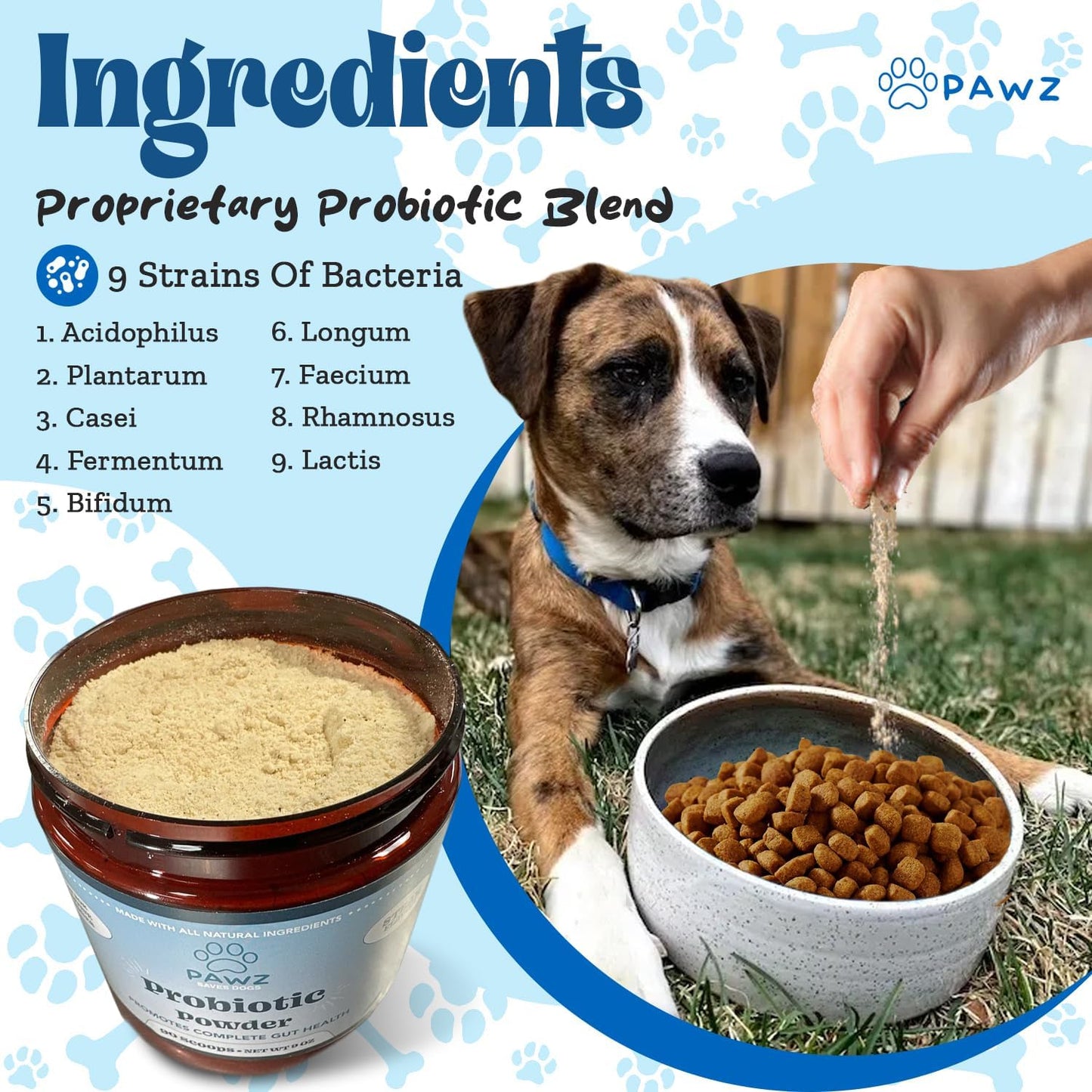 Steak Flavored Probiotic Powder for Dogs - 90 Scoops - Supports Gut Health, Digestion, Immune System, Skin, and Coat - All Dog Breeds